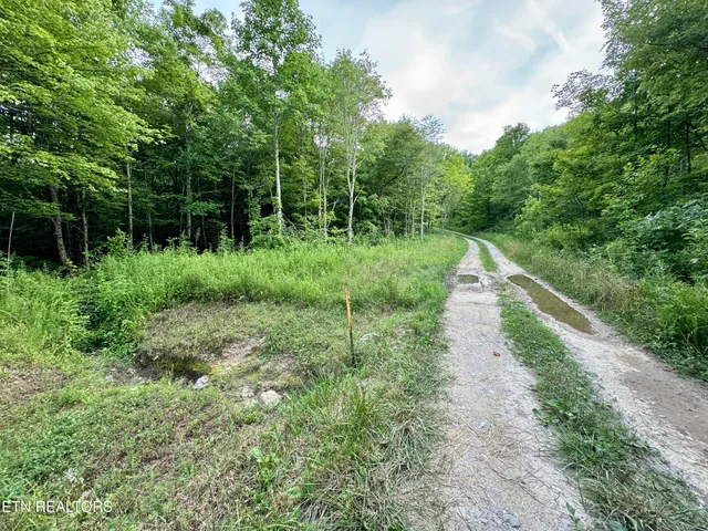 $1,340,938 | Smith Creek Road, Oneida, TN 37841