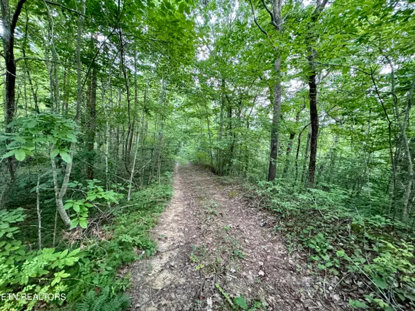 $1,340,938 | Smith Creek Road, Oneida, TN 37841