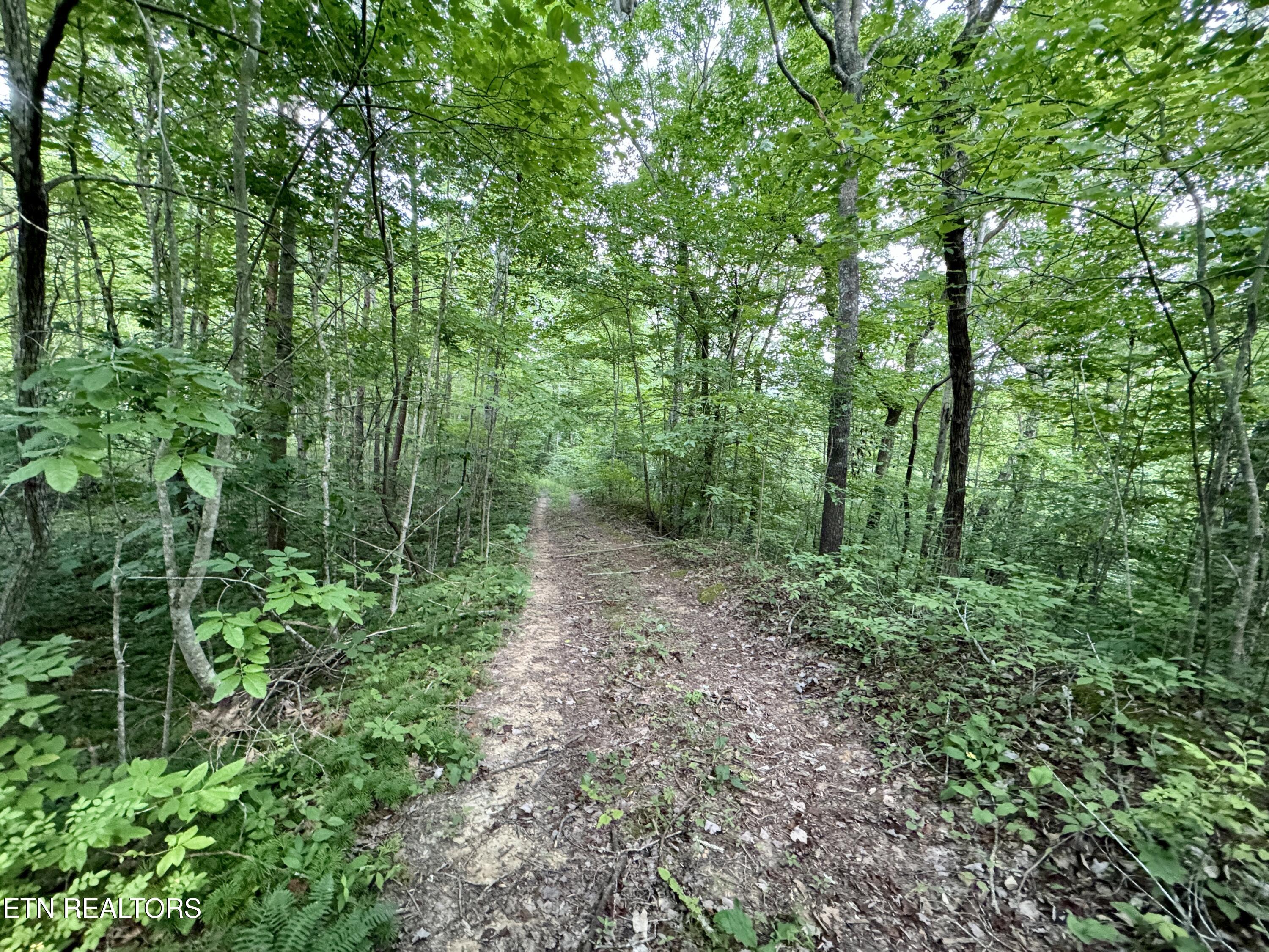 Smith Creek Road Oneida, TN 37841 - Photo 18 of 42 18