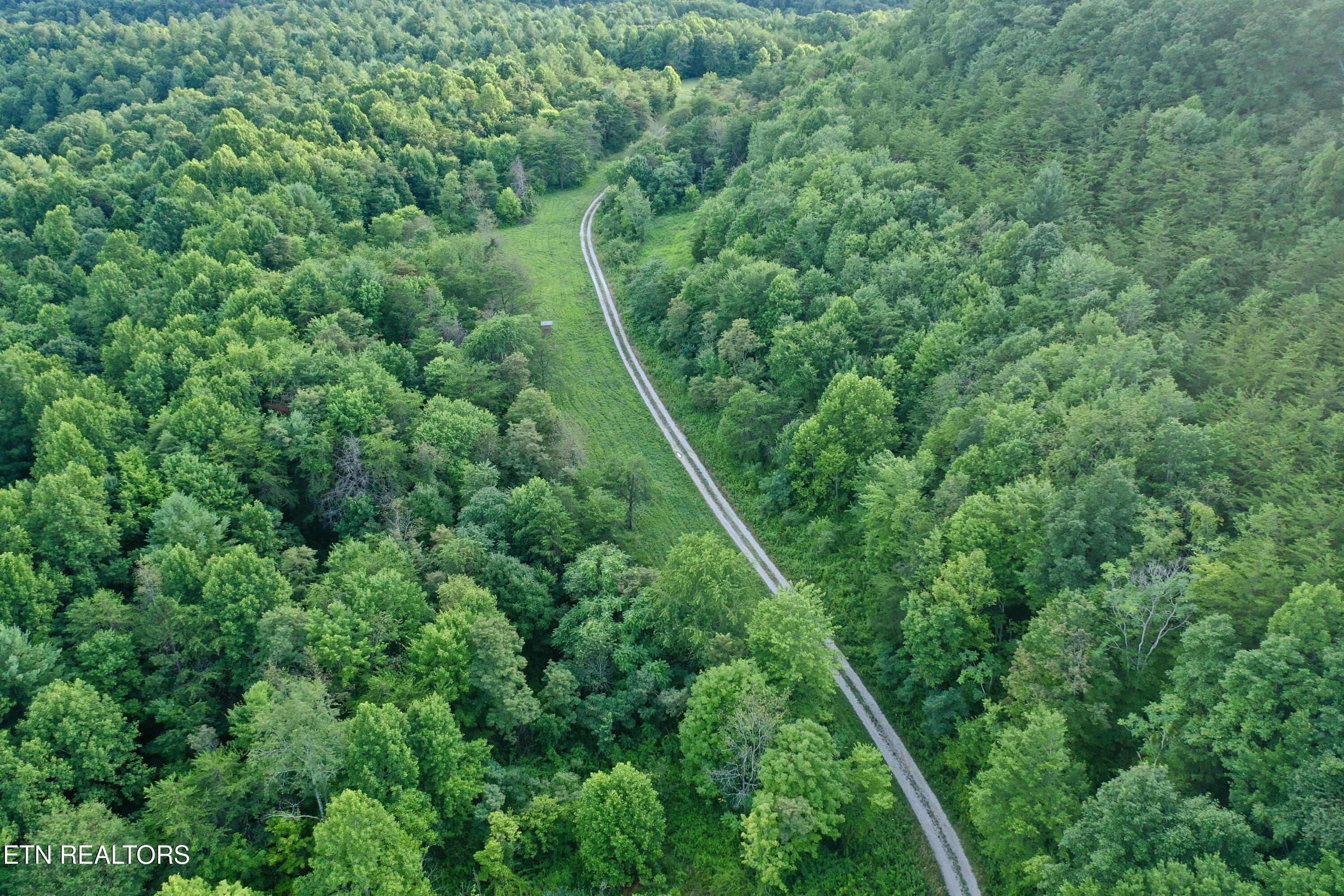 Smith Creek Road Oneida, TN 37841 - Photo 20 of 42 DJI_0379