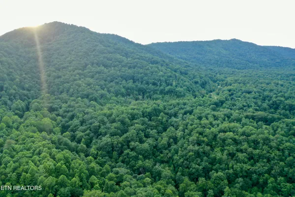 $1,340,938 | Smith Creek Road, Oneida, TN 37841