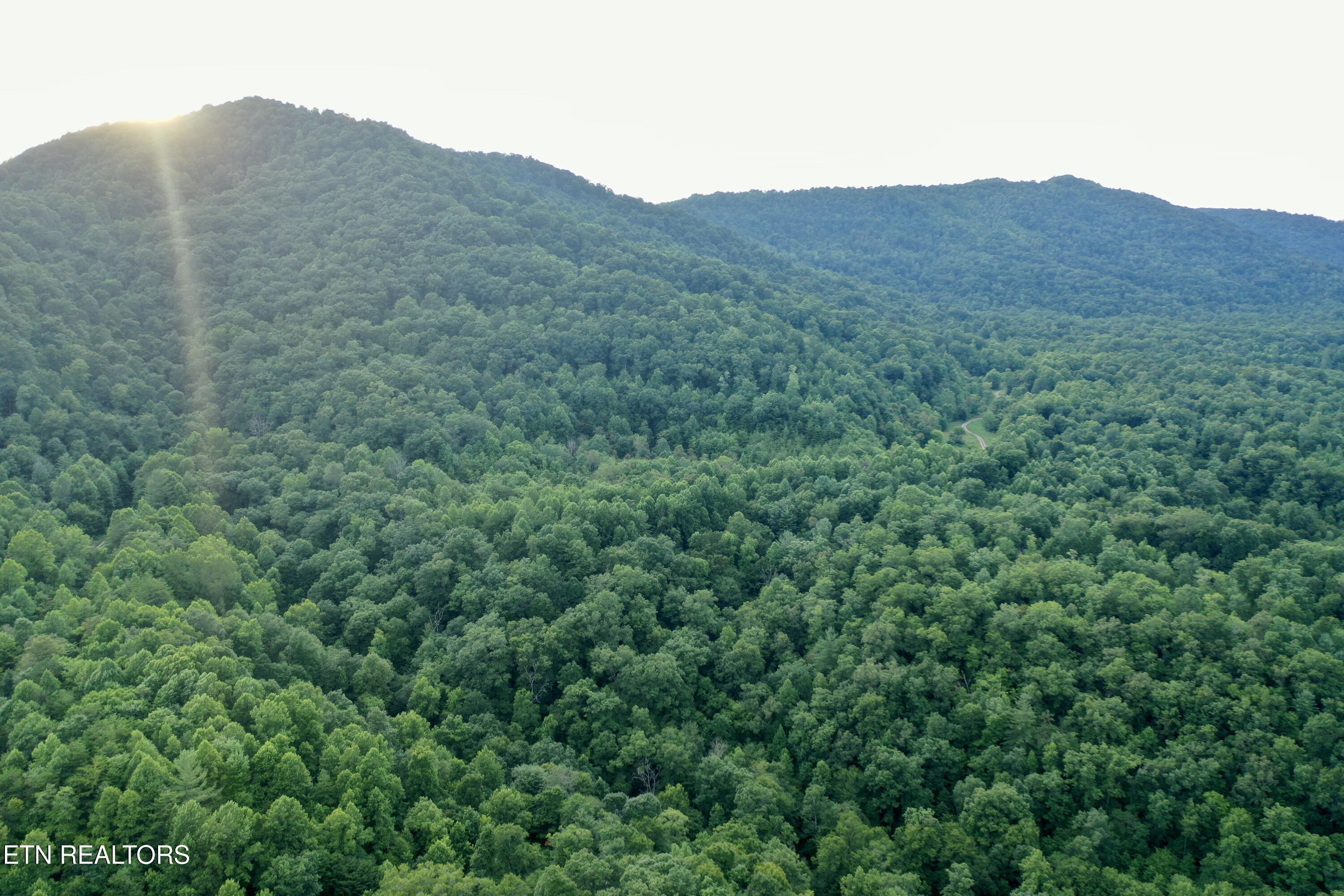 Smith Creek Road Oneida, TN 37841 - Photo 2 of 42 2