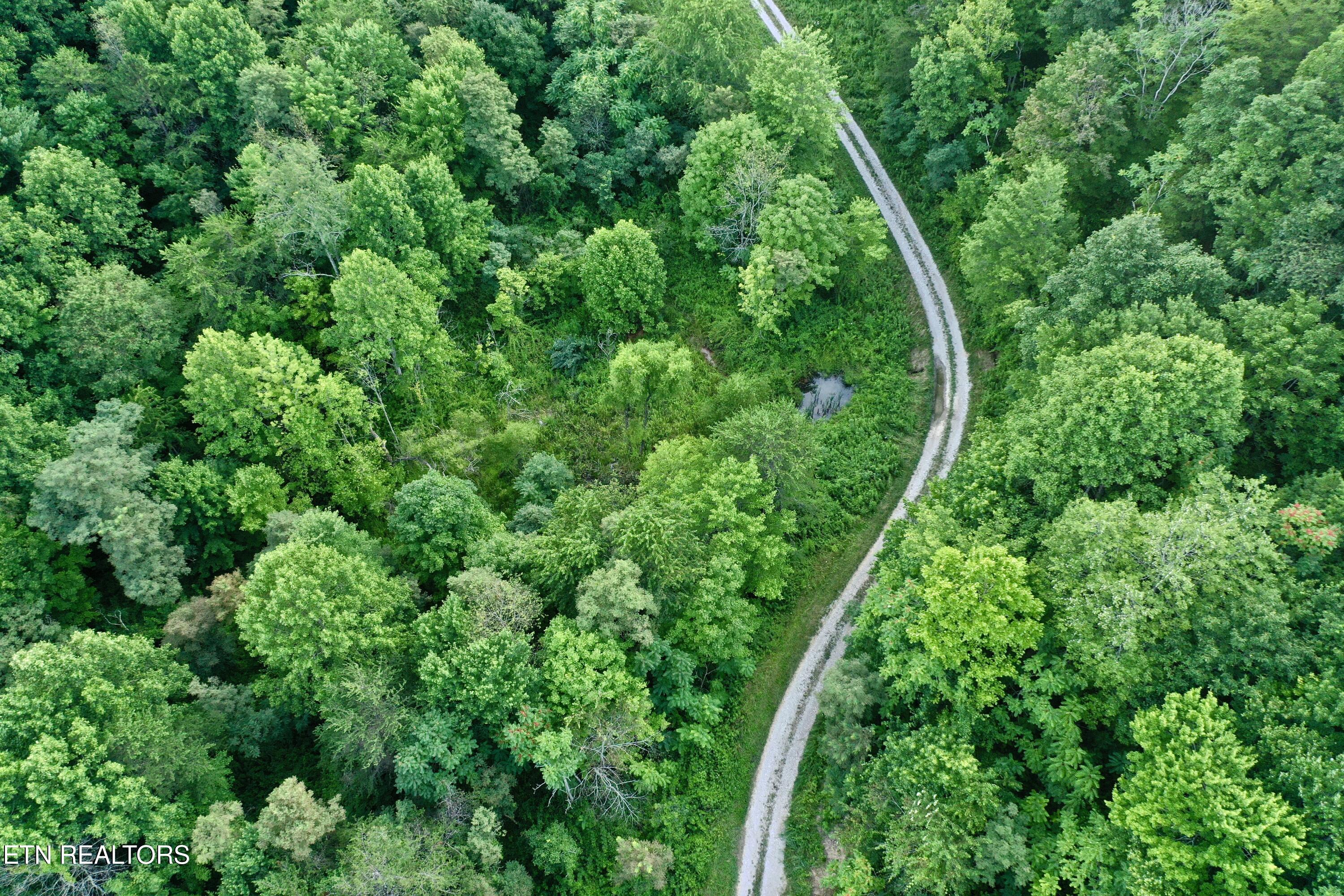 Smith Creek Road Oneida, TN 37841 - Photo 21 of 42 DJI_0380