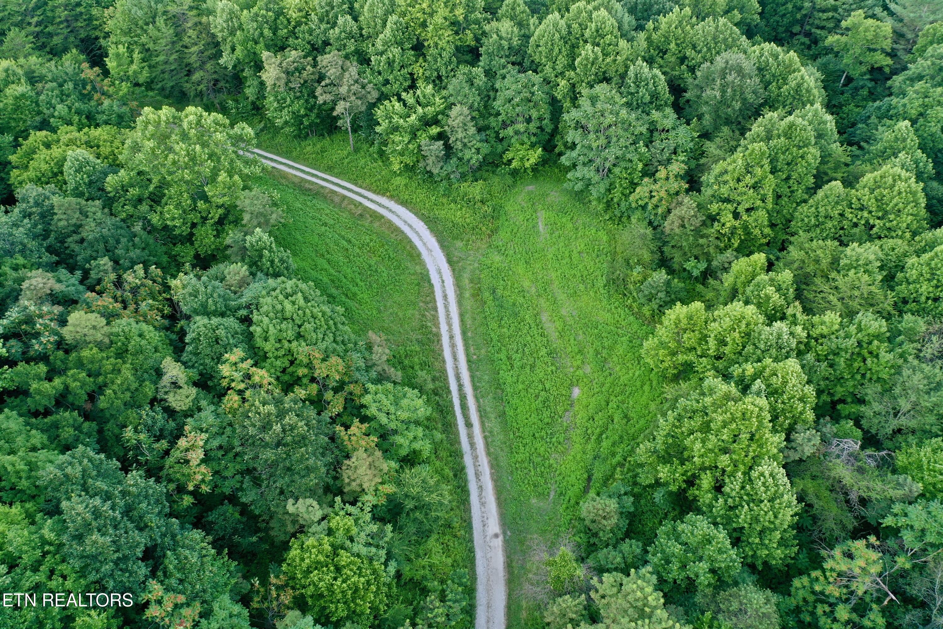 Smith Creek Road Oneida, TN 37841 - Photo 22 of 42 DJI_0381