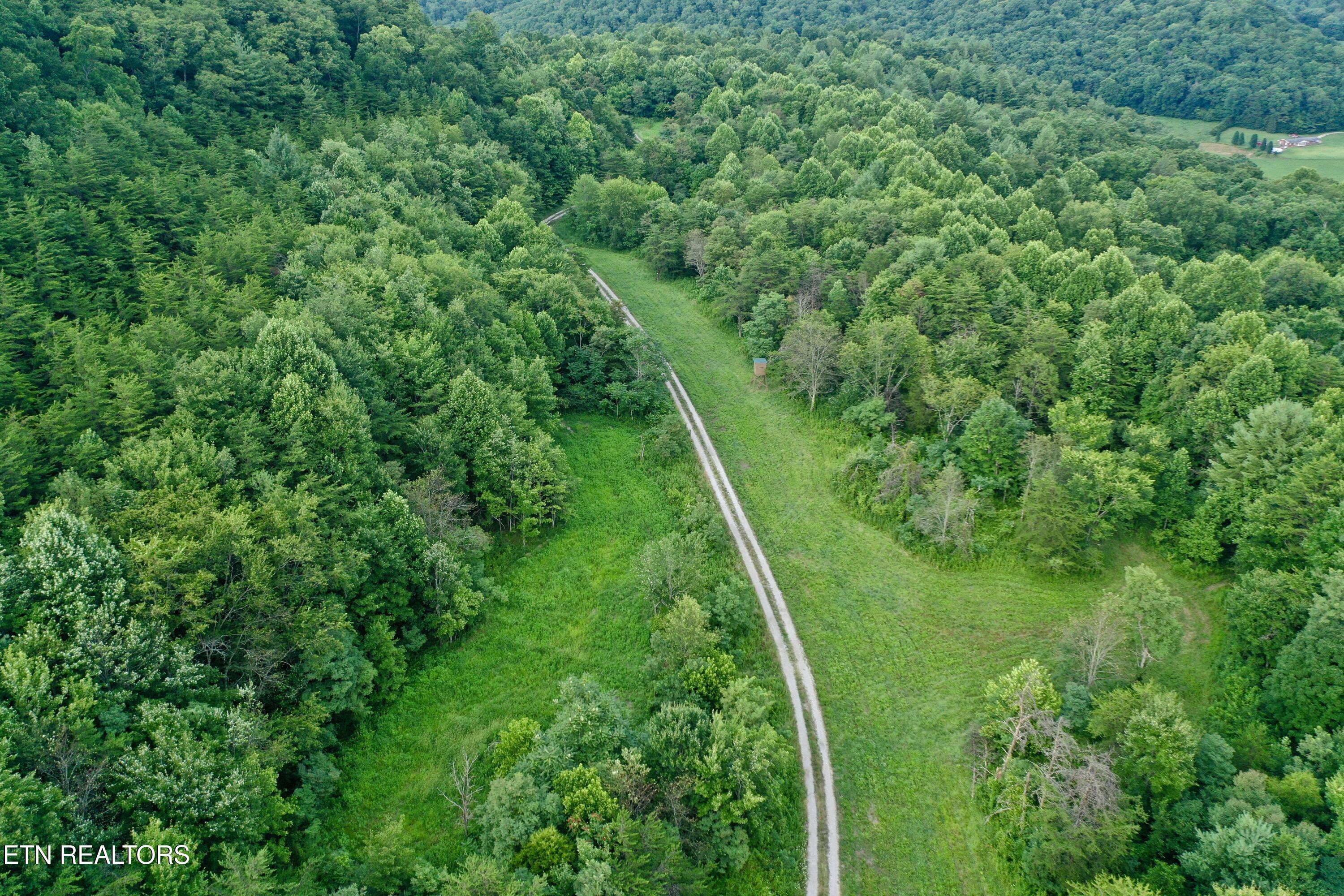 Smith Creek Road Oneida, TN 37841 - Photo 27 of 42 DJI_0391