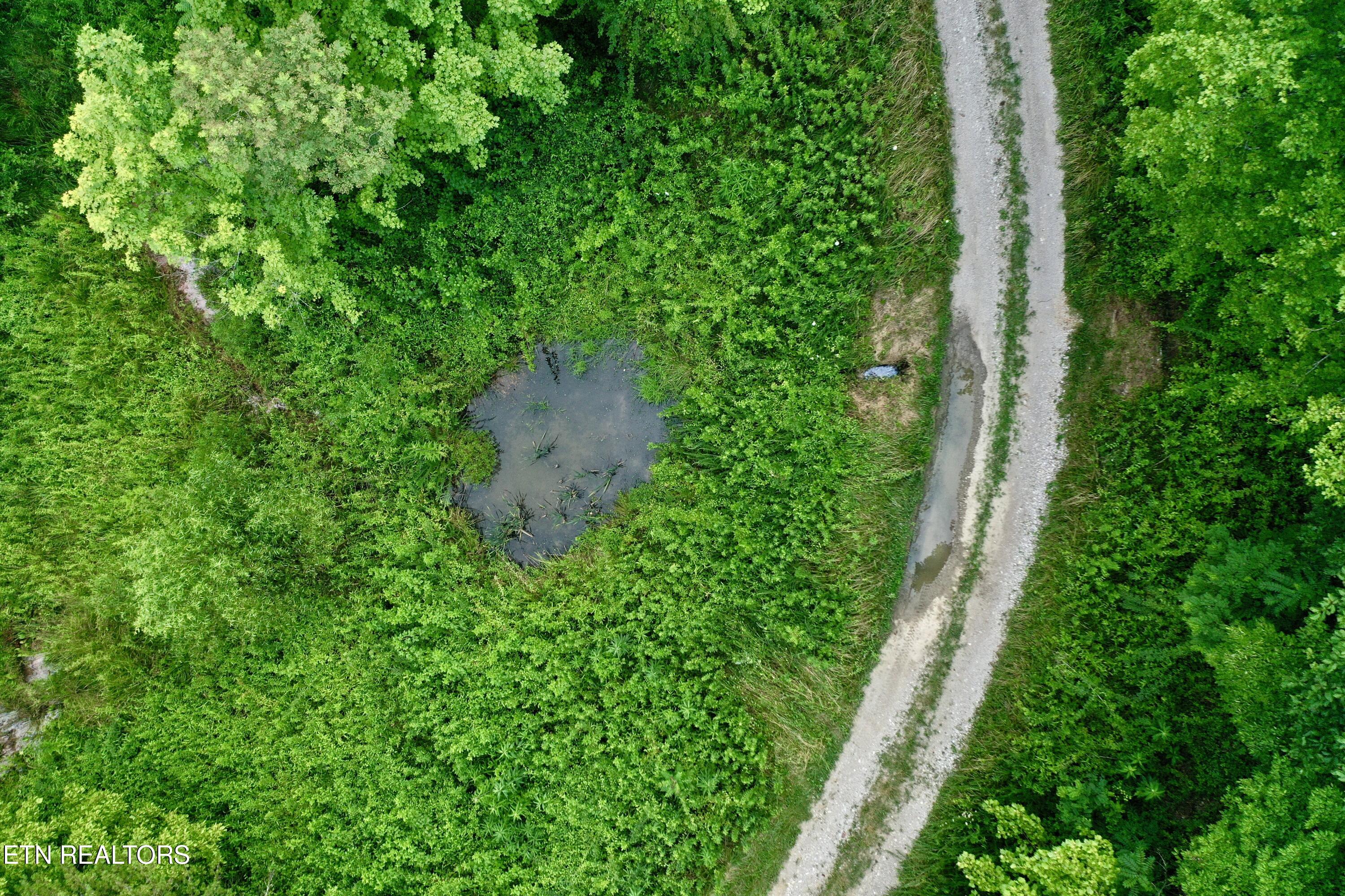 Smith Creek Road Oneida, TN 37841 - Photo 28 of 42 DJI_0392