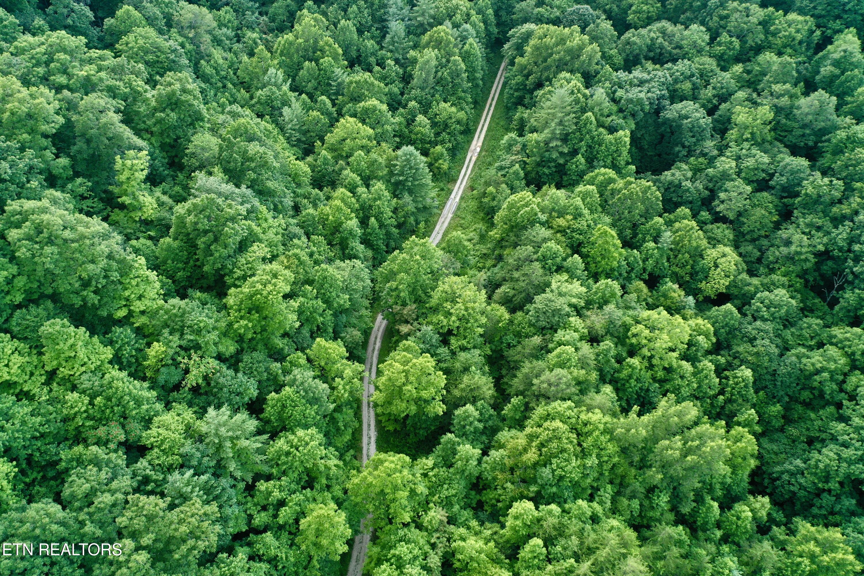 Smith Creek Road Oneida, TN 37841 - Photo 29 of 42 DJI_0393