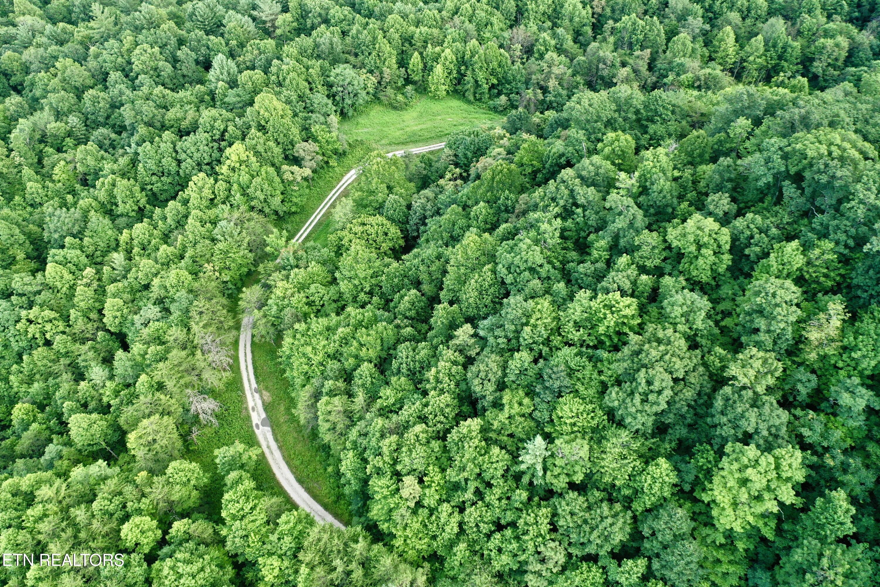 Smith Creek Road Oneida, TN 37841 - Photo 30 of 42 DJI_0394