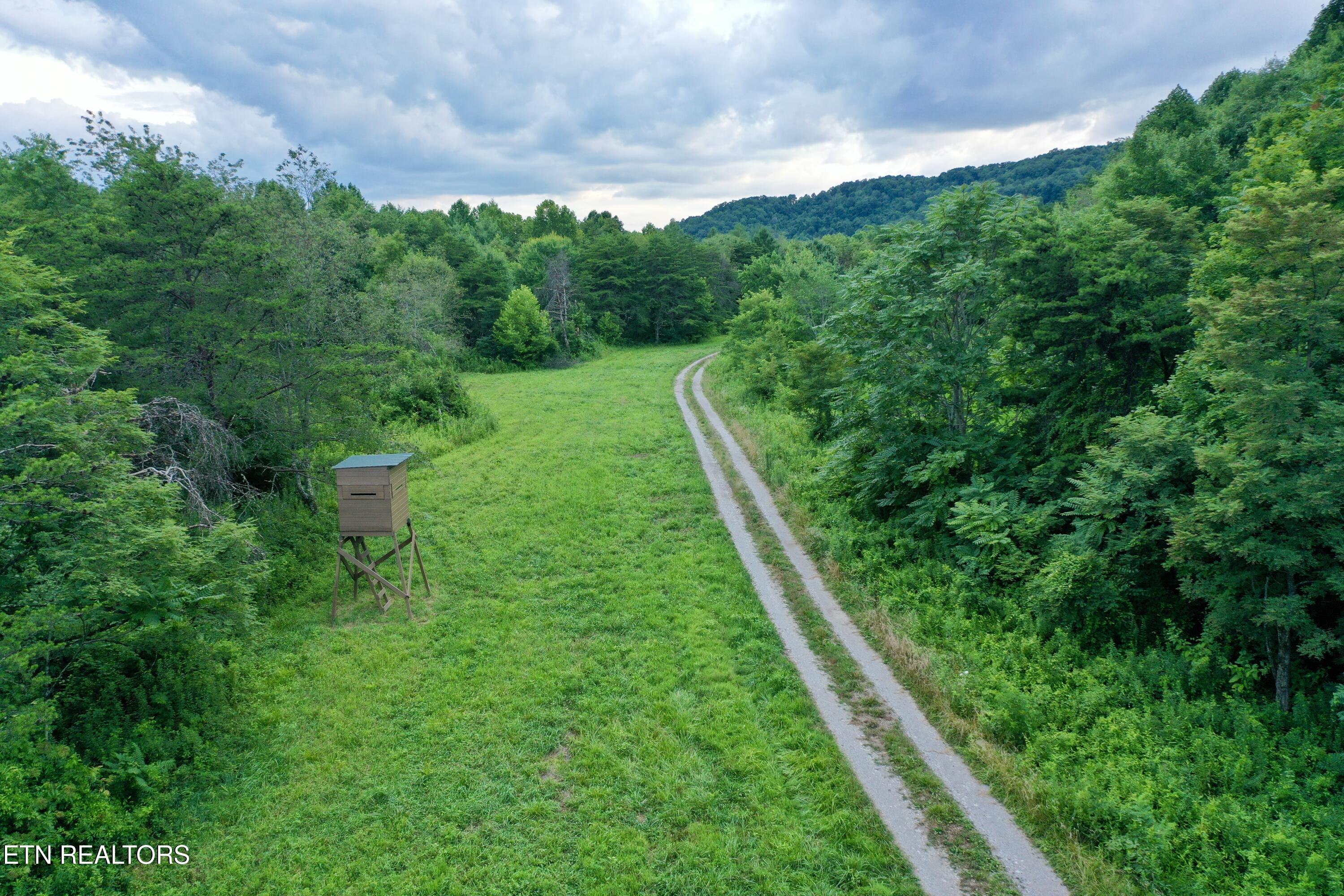 Smith Creek Road Oneida, TN 37841 - Photo 3 of 42 3