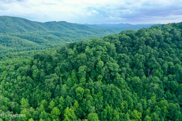$1,340,938 | Smith Creek Road, Oneida, TN 37841
