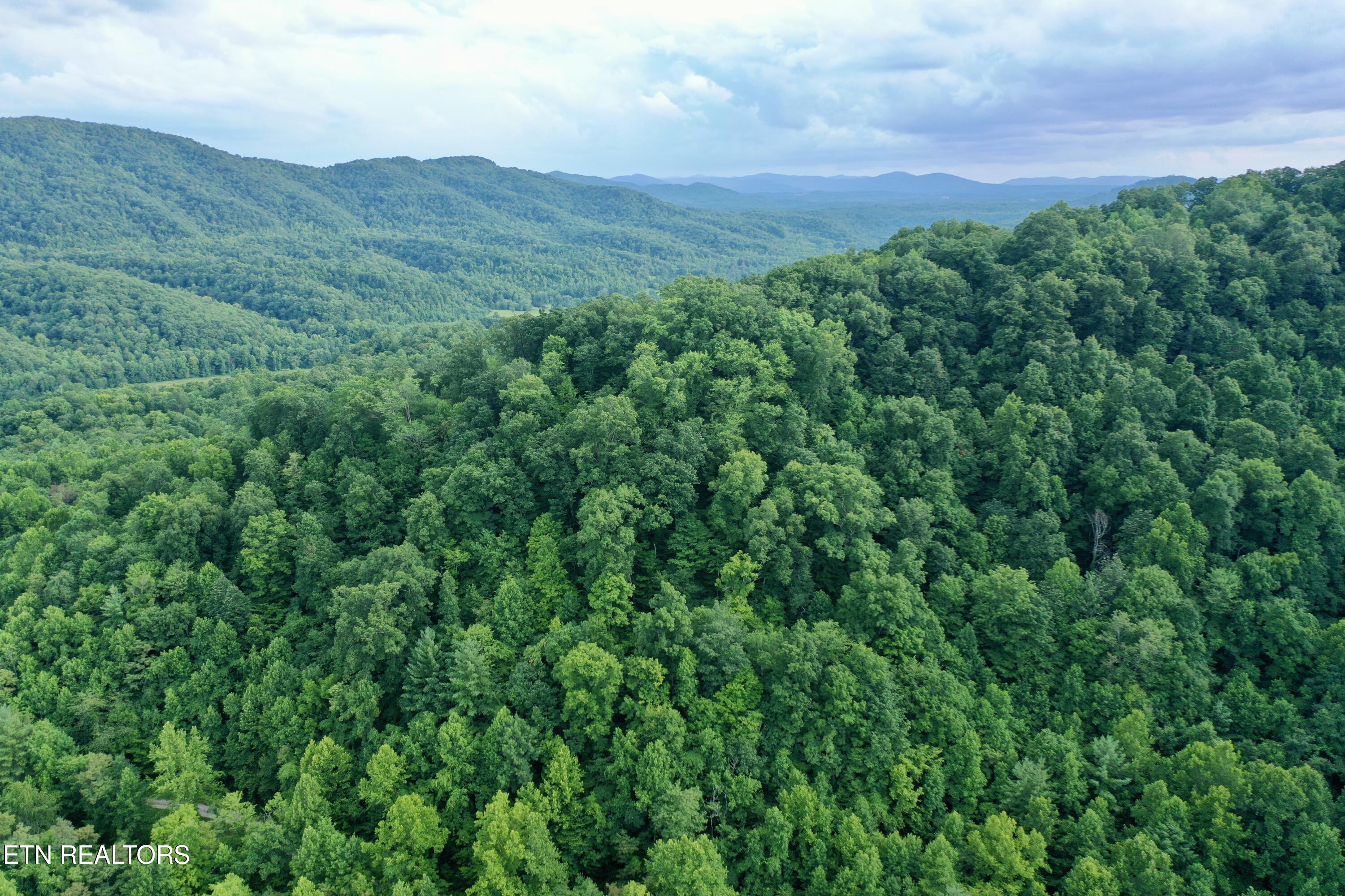 Smith Creek Road Oneida, TN 37841 - Photo 31 of 42 DJI_0397