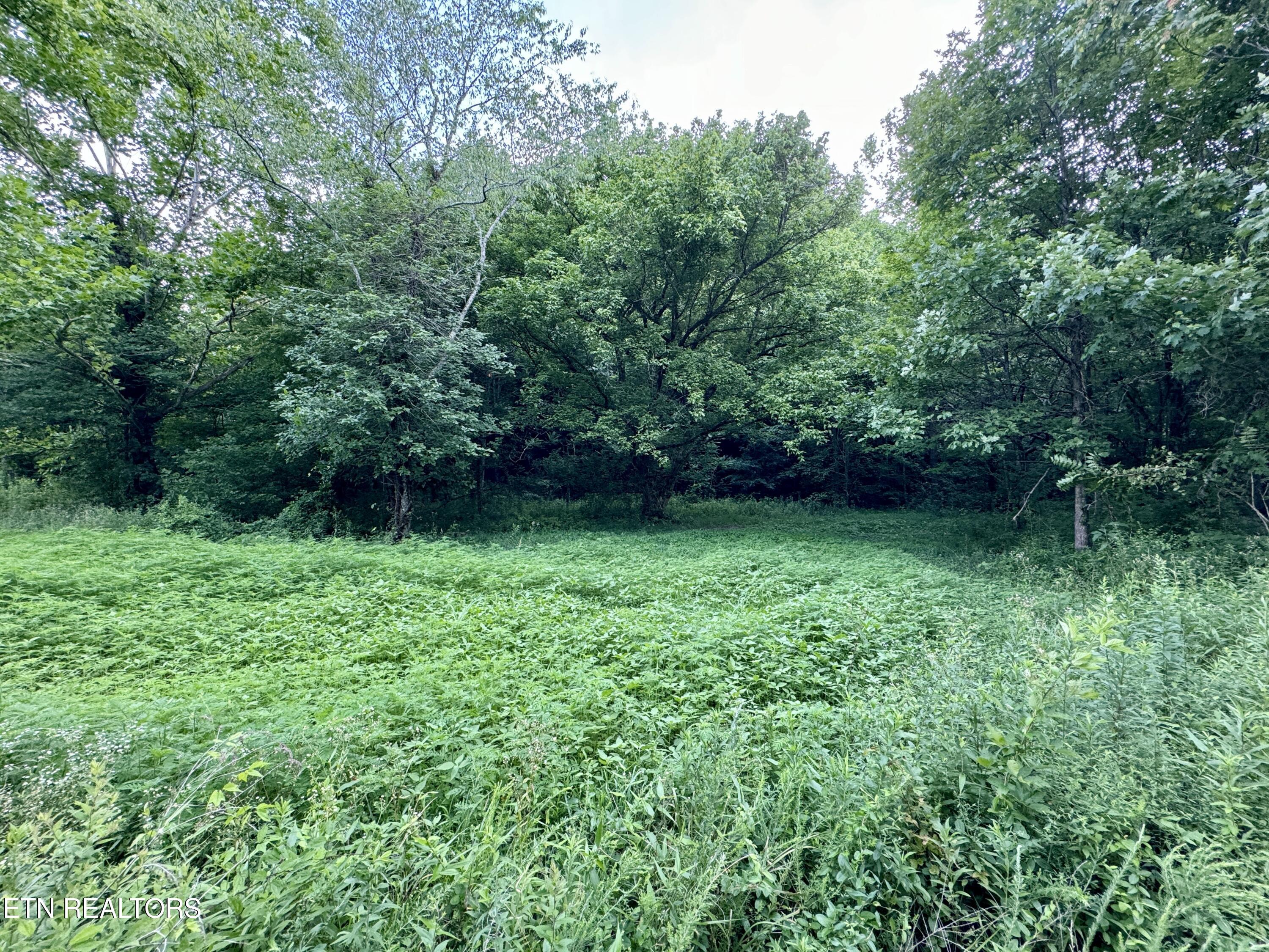 Smith Creek Road Oneida, TN 37841 - Photo 36 of 42 IMG_3876