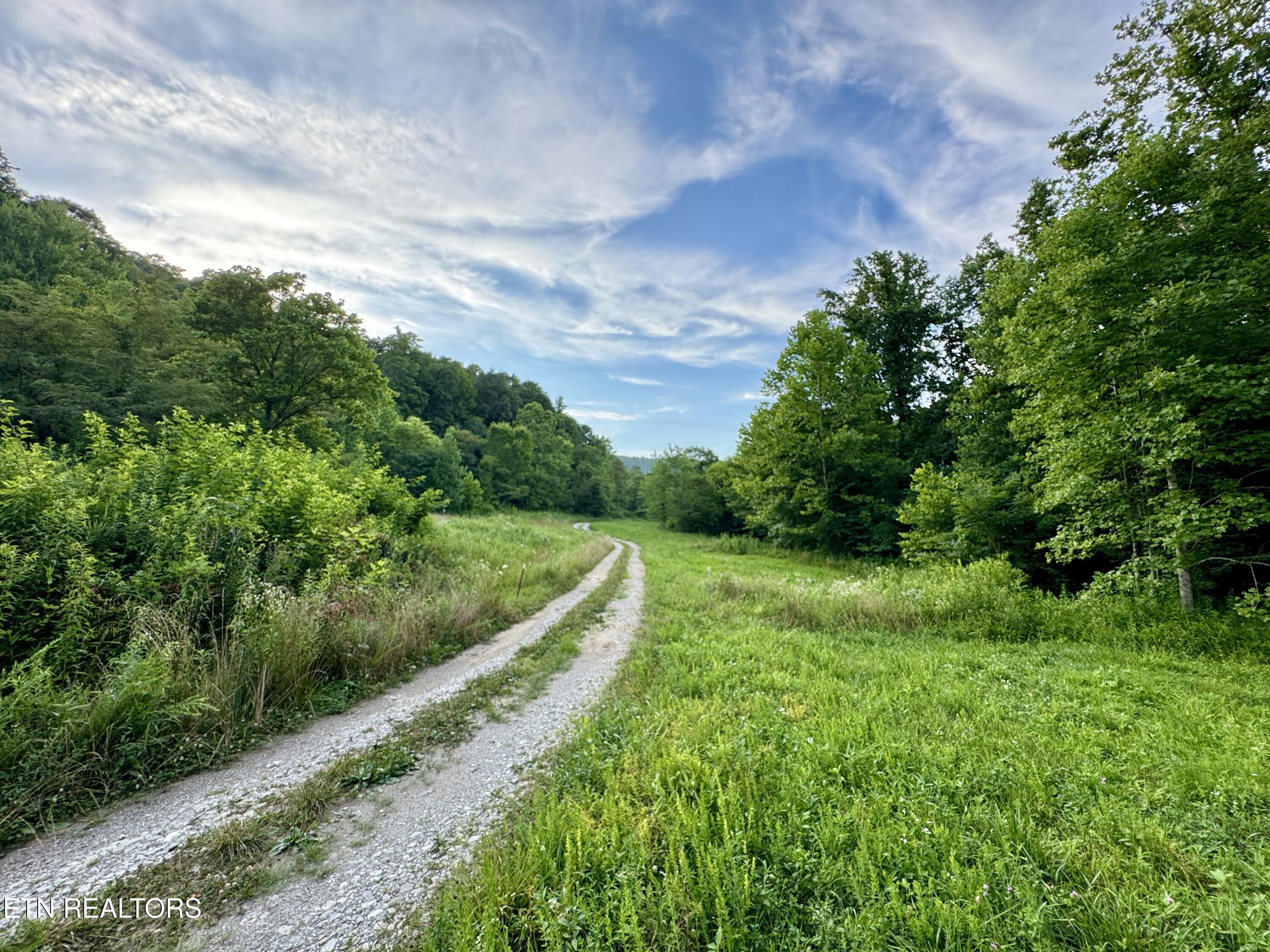 Smith Creek Road Oneida, TN 37841 - Photo 37 of 42 IMG_3884
