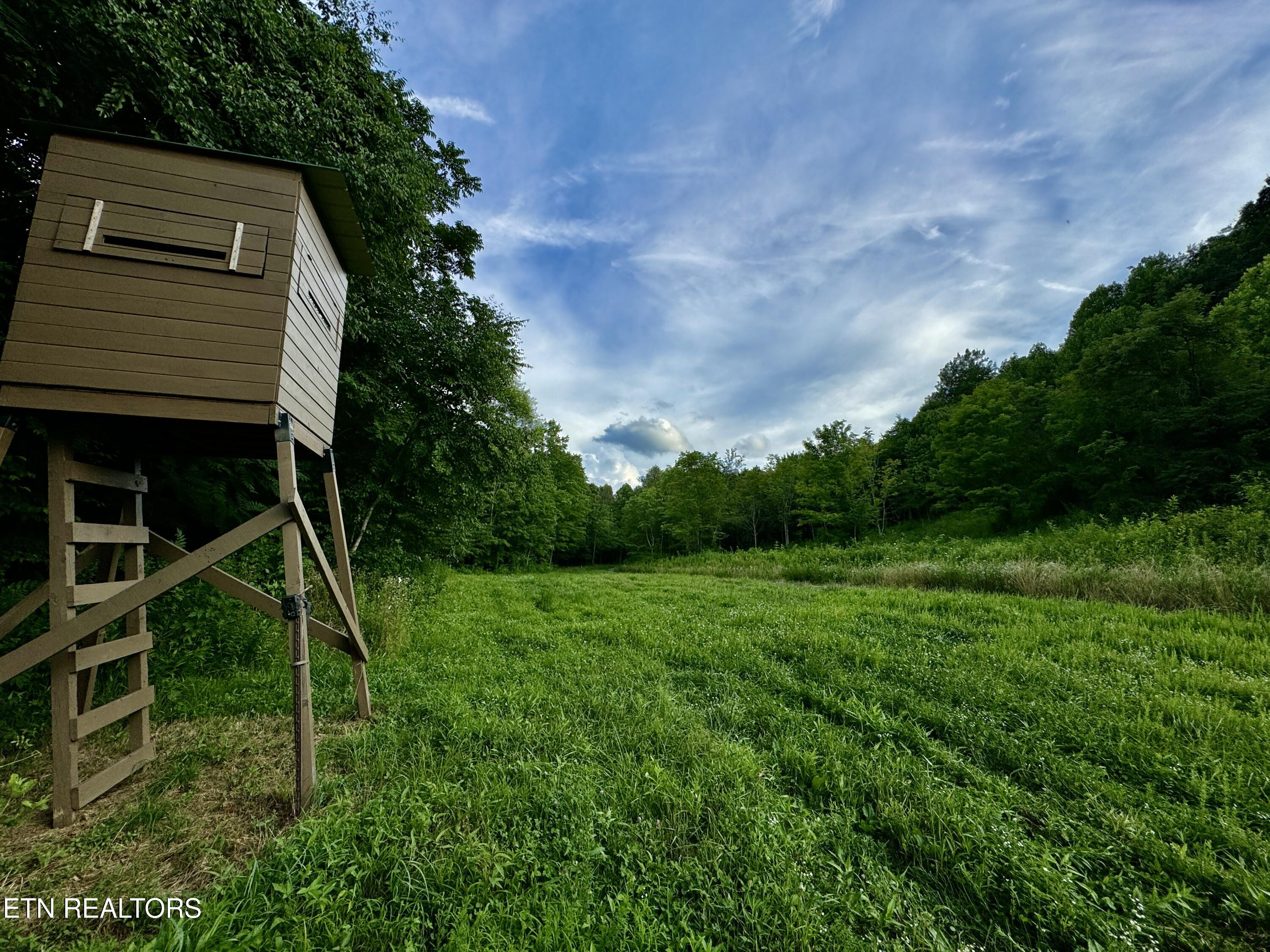 Smith Creek Road Oneida, TN 37841 - Photo 38 of 42 IMG_3885