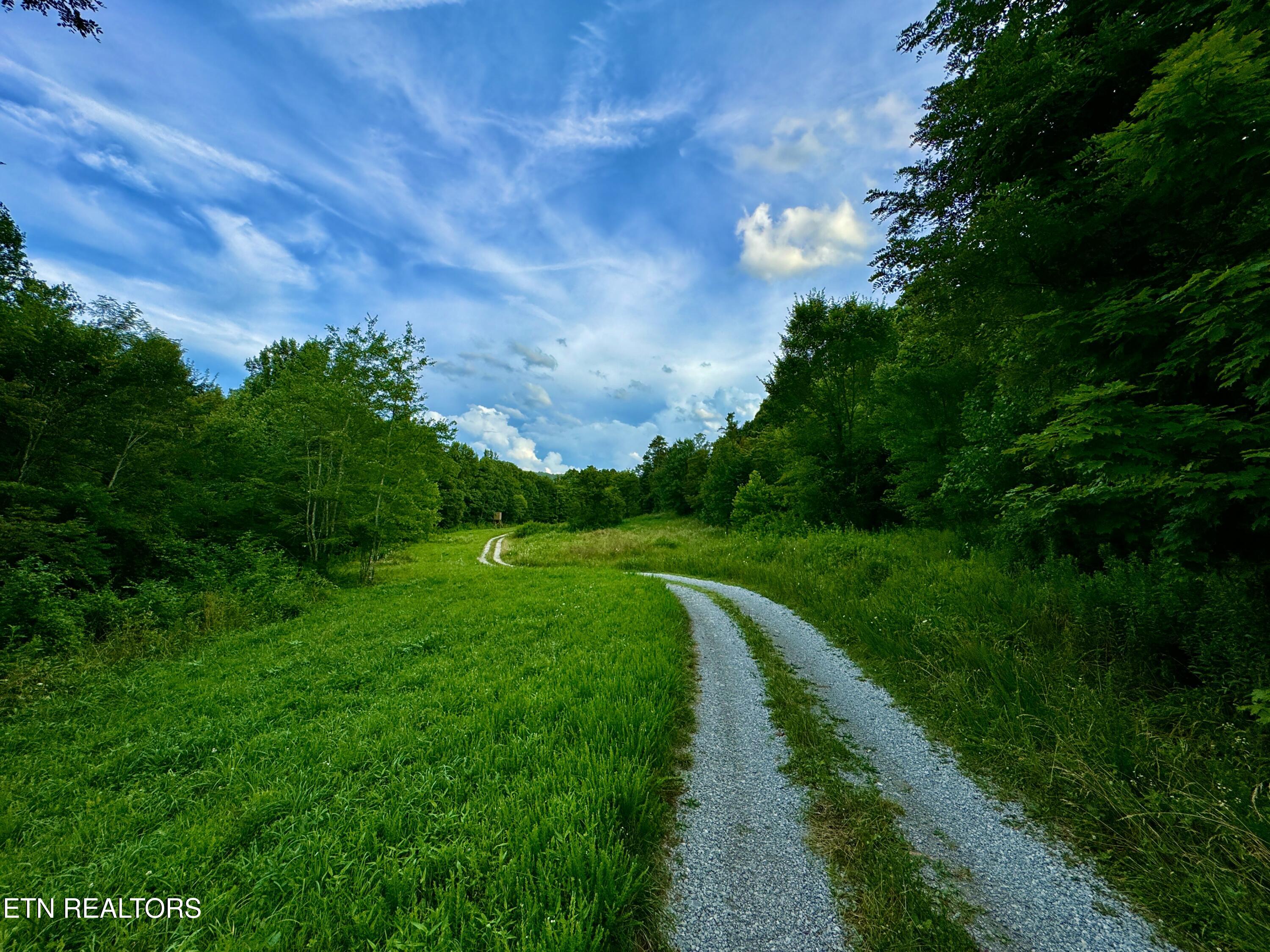 Smith Creek Road Oneida, TN 37841 - Photo 4 of 42 4