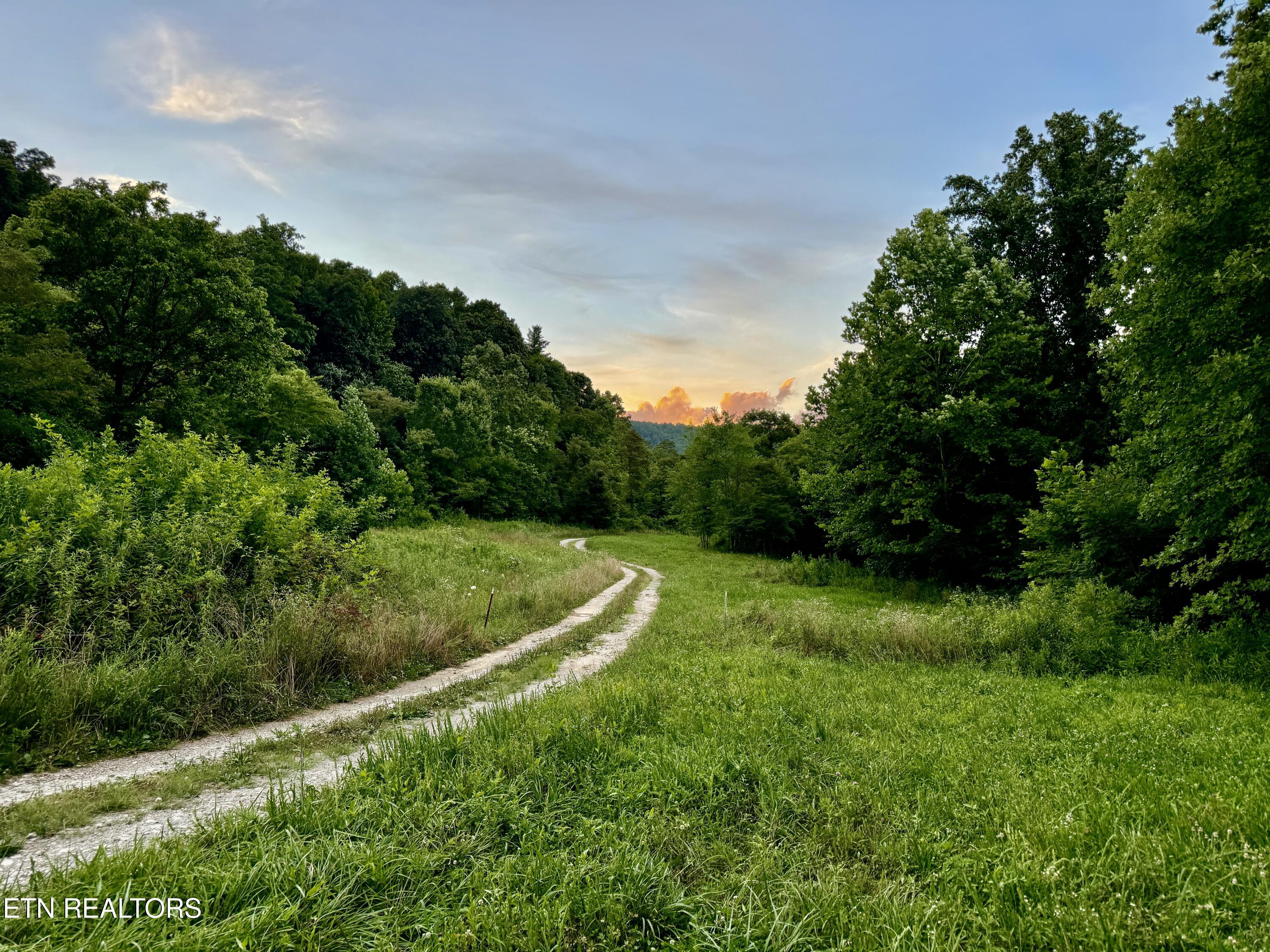 Smith Creek Road Oneida, TN 37841 - Photo 6 of 42 6
