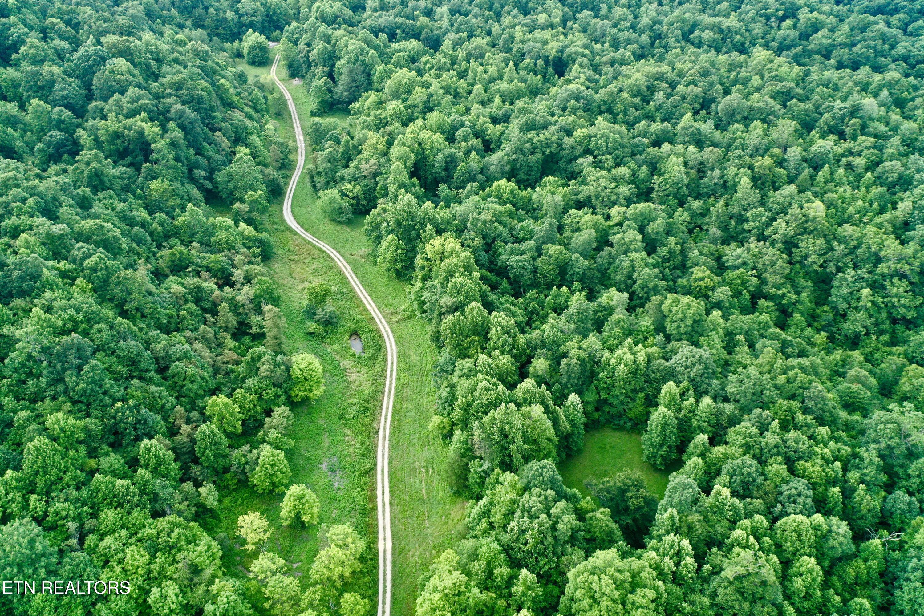 Smith Creek Road Oneida, TN 37841 - Photo 7 of 42 7