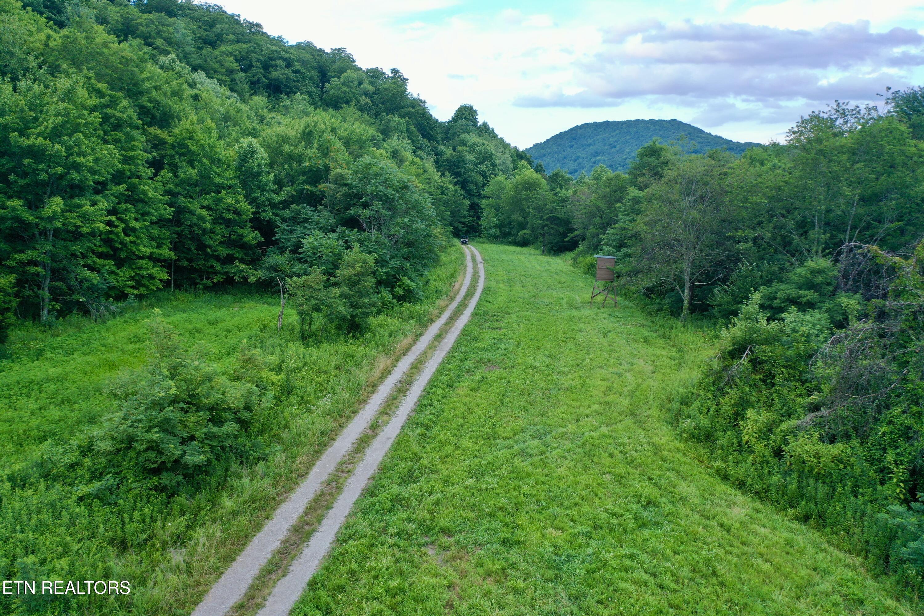 Smith Creek Road Oneida, TN 37841 - Photo 9 of 42 9