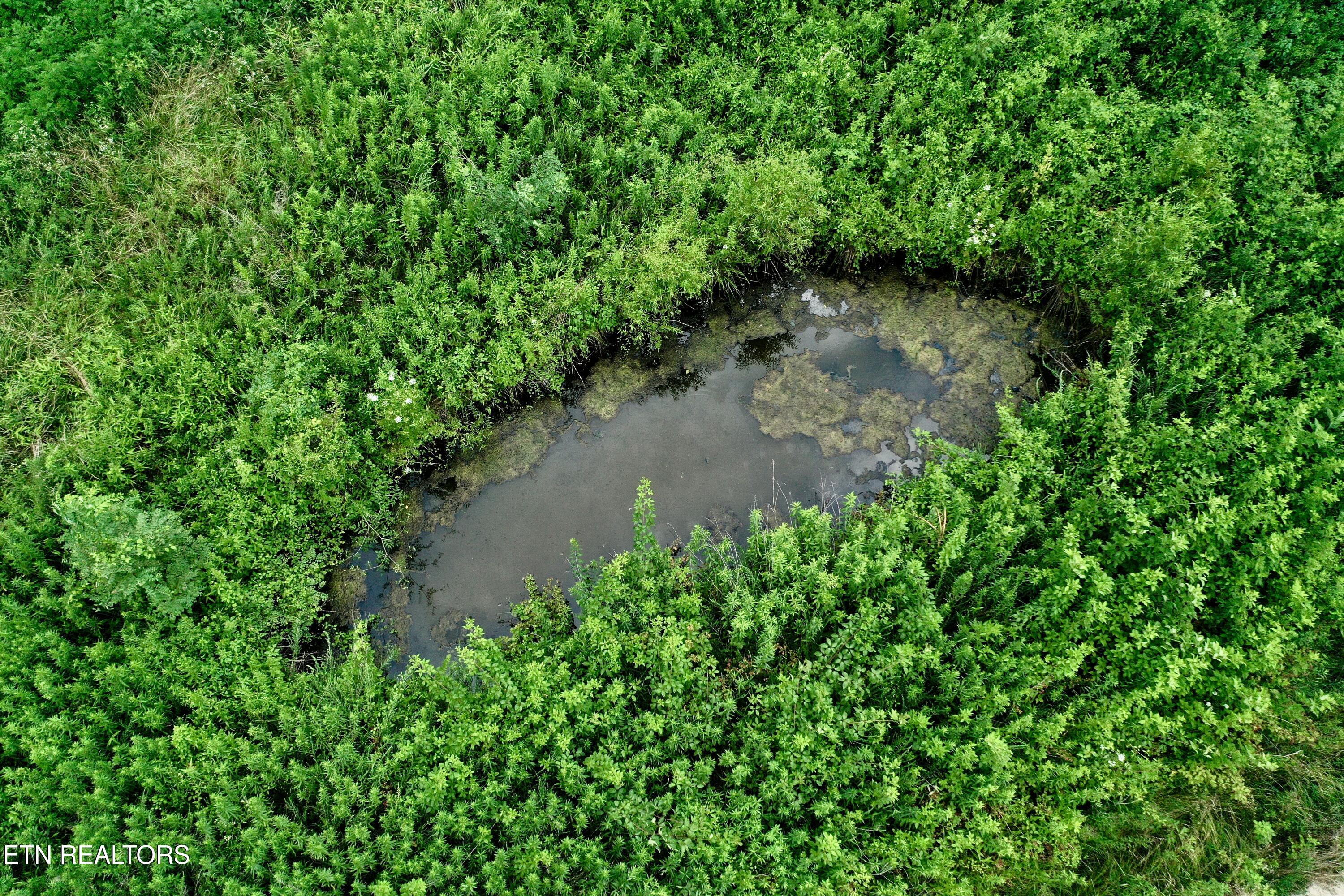 Smith Creek Road Oneida, TN 37841 - Photo 10 of 42 10