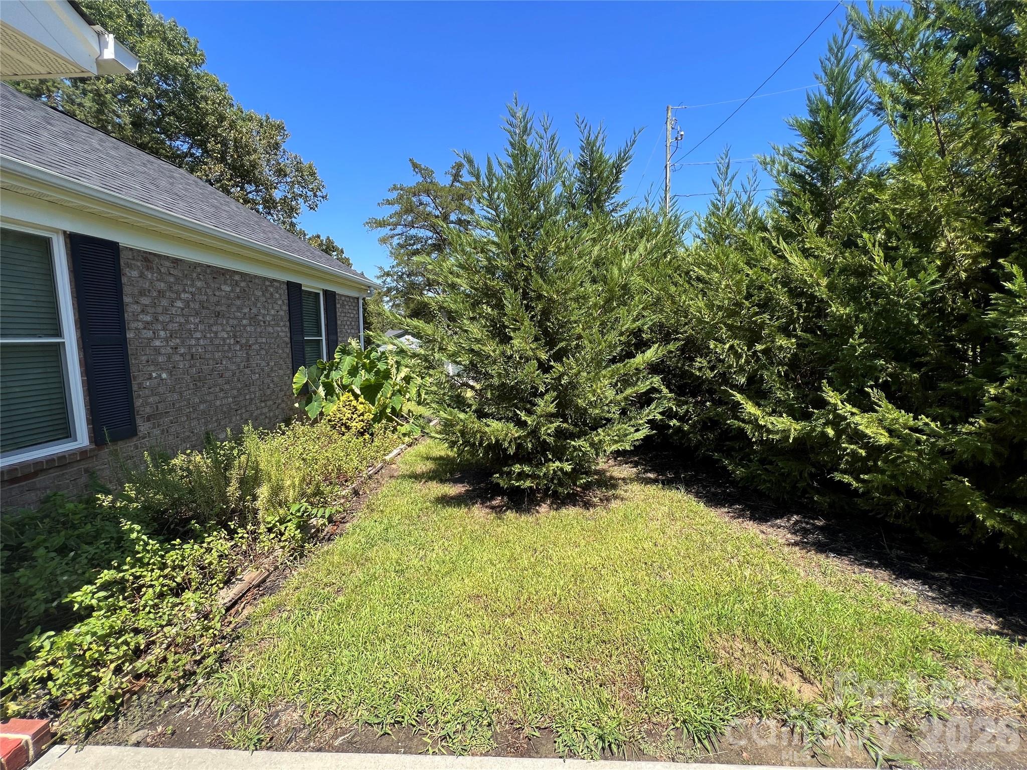 5312 Rea Road Charlotte, NC 28226 - Photo 33 of 34 a view of backyard with potted plants and large tree