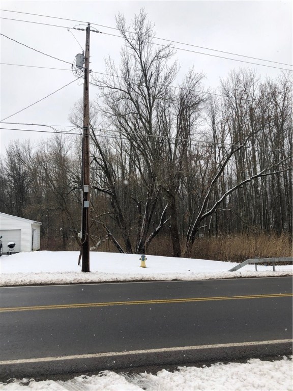 0 Macedon Center Road Macedon, NY 14502 - Photo 11 of 18 Electric utility pole directly across road.