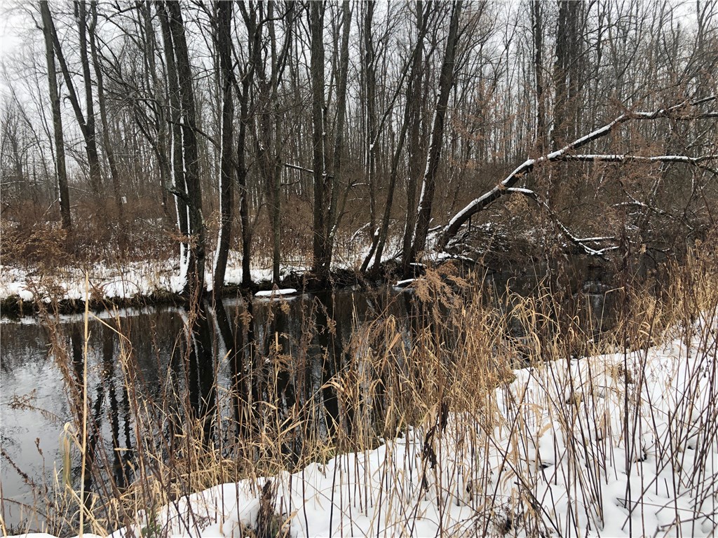 0 Macedon Center Road Macedon, NY 14502 - Photo 14 of 18