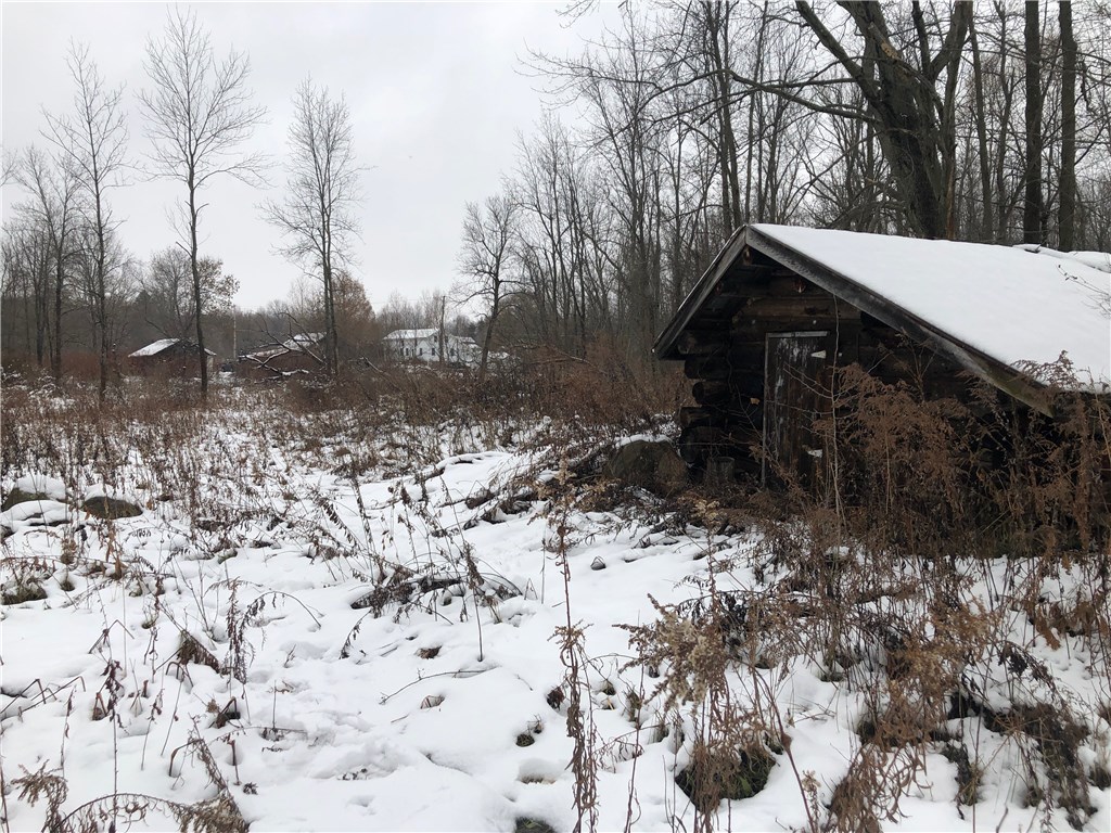 0 Macedon Center Road Macedon, NY 14502 - Photo 15 of 18 View from Log Cabin back towards Barn