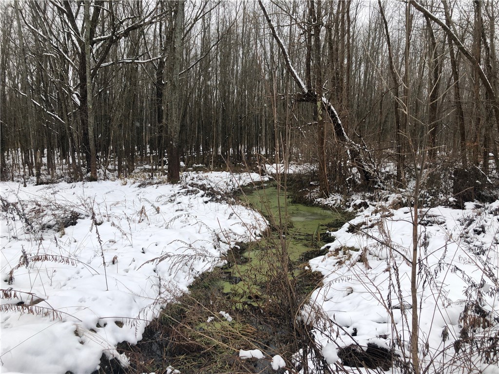 0 Macedon Center Road Macedon, NY 14502 - Photo 16 of 18 Feeder Stream