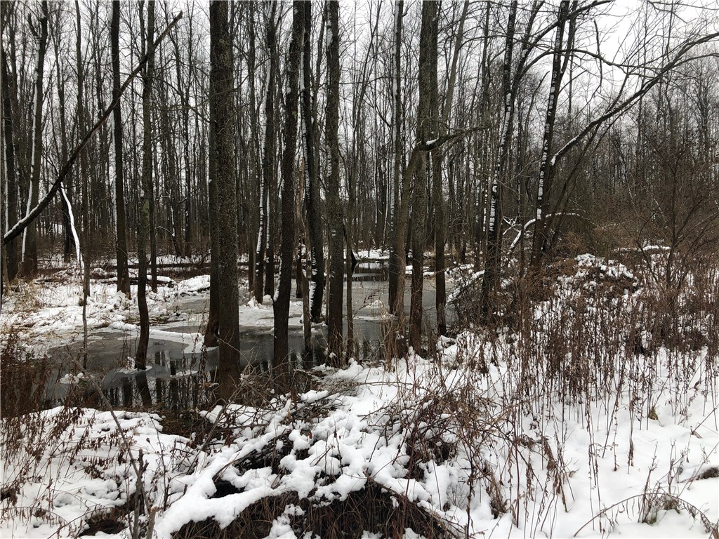 0 Macedon Center Road Macedon, NY 14502 - Photo 17 of 18