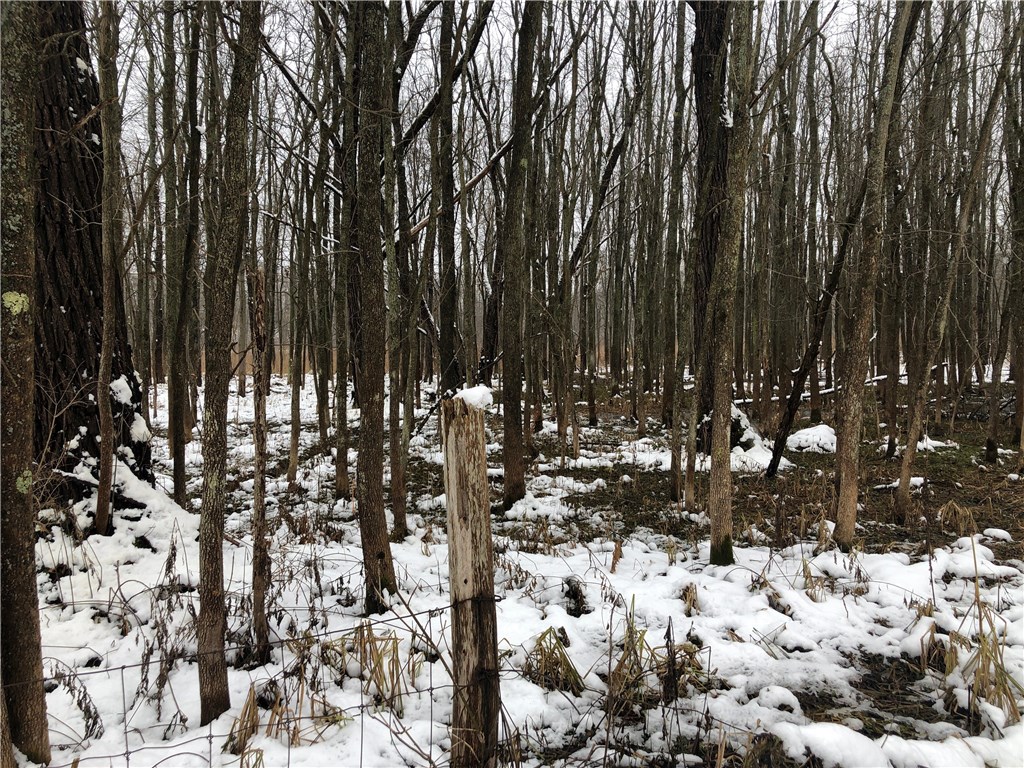 0 Macedon Center Road Macedon, NY 14502 - Photo 18 of 18