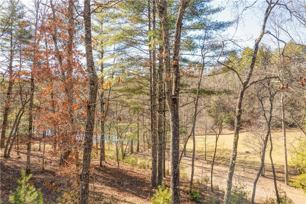 68 Harmony Way Morganton, GA 30560 - Photo 54 of 62