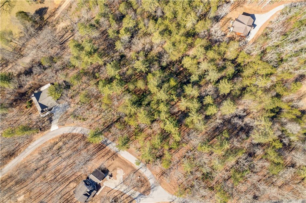 68 Harmony Way Morganton, GA 30560 - Photo 59 of 62