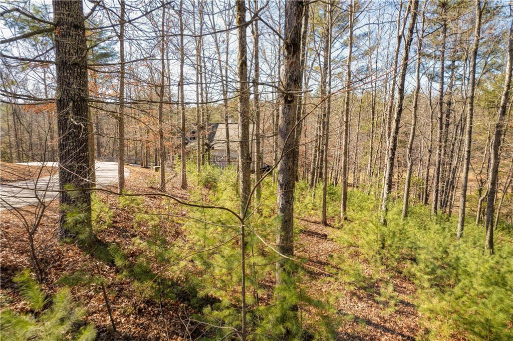 68 Harmony Way Morganton, GA 30560 - Photo 61 of 62