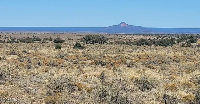 $160,000 | 200 Acre Ranch, Unit B, Williams, AZ 86046