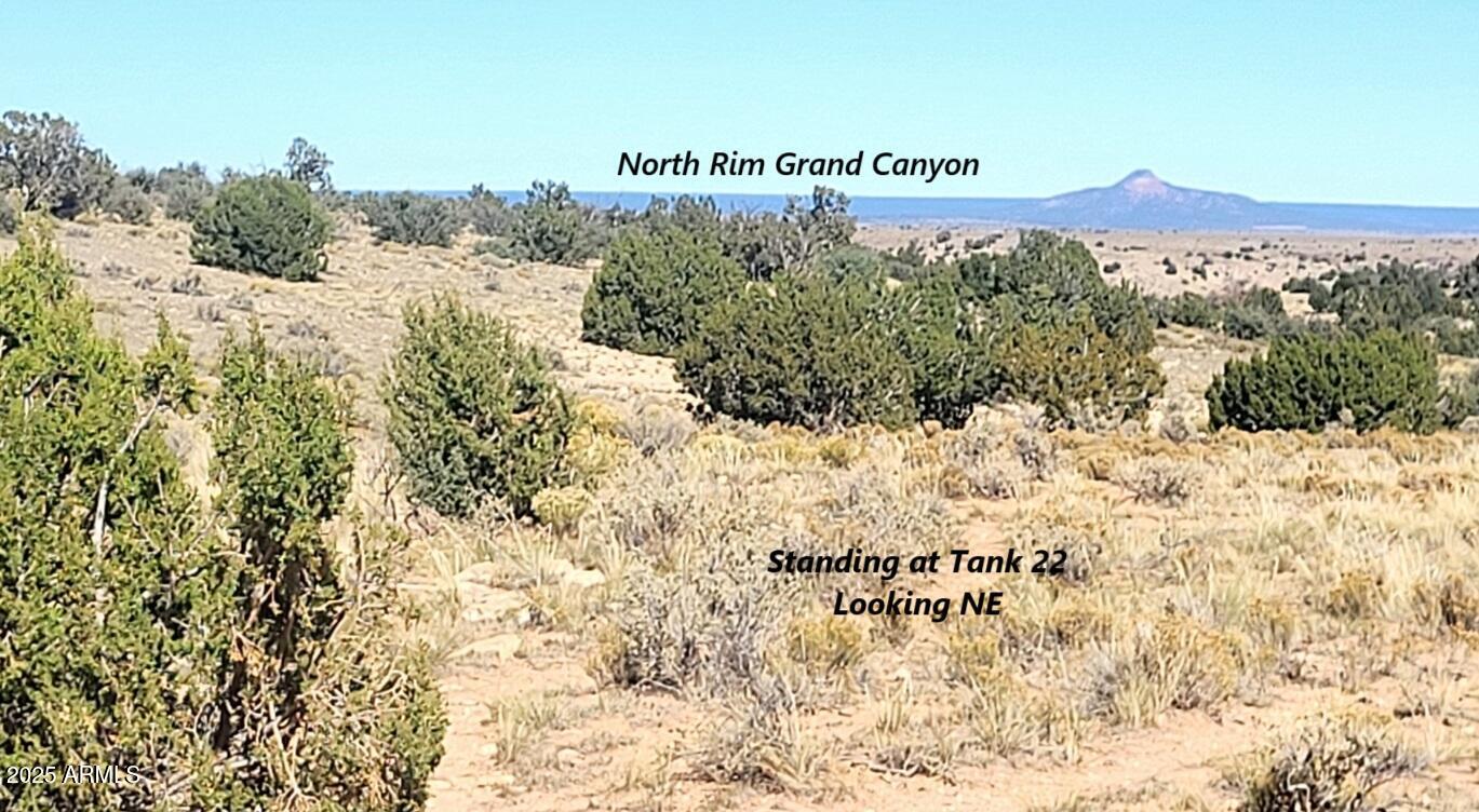 200 Acre Ranch, Unit B Williams, AZ 86046 - Photo 9 of 17 thumbnail_20251028_133457