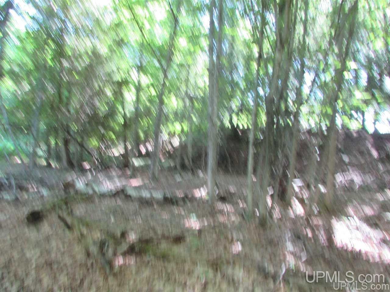 13000 Town Road Skanee, MI 49962 - Photo 13 of 46 Gallery Image 13