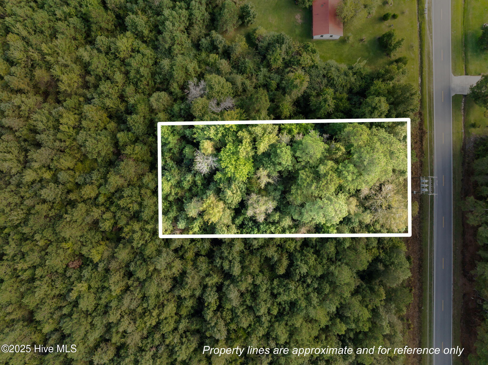 Tbd Gurganus Road Maple Hill, NC 28454 - Photo 1 of 16 17-web-or-mls-Property Lines_1
