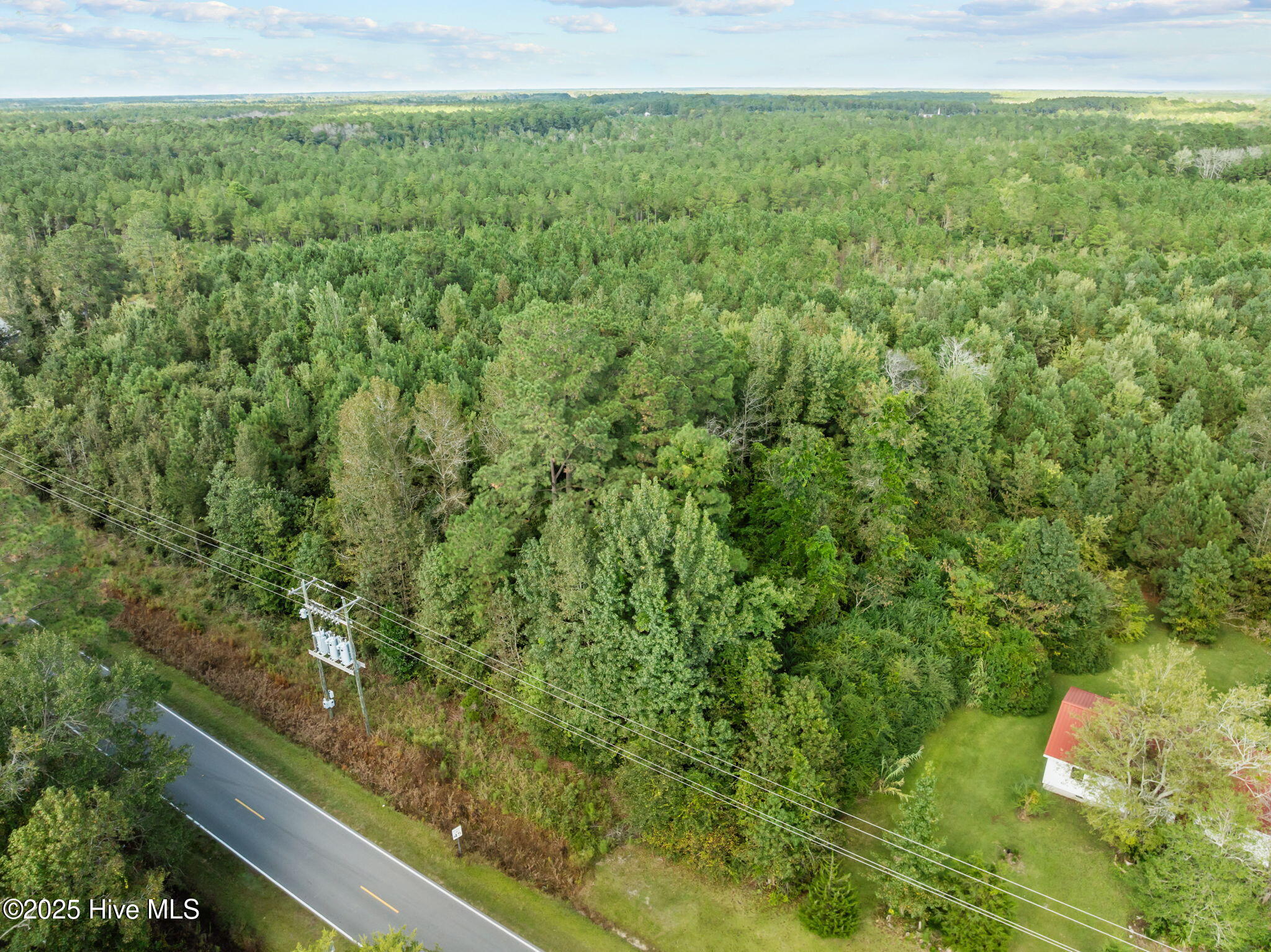 Tbd Gurganus Road Maple Hill, NC 28454 - Photo 11 of 16 11-web-or-mls-10