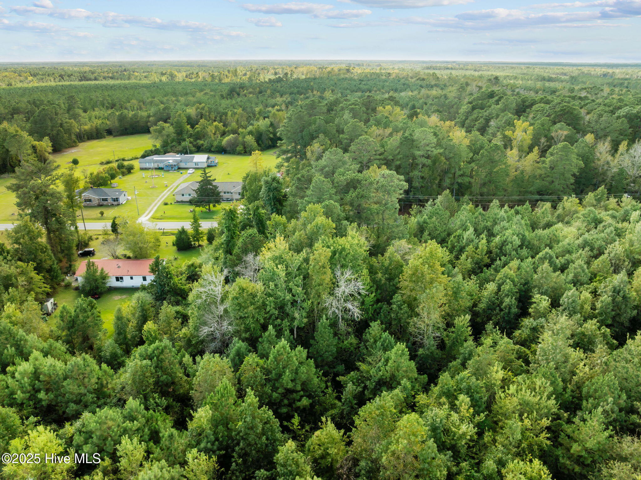 Tbd Gurganus Road Maple Hill, NC 28454 - Photo 13 of 16 13-web-or-mls-13