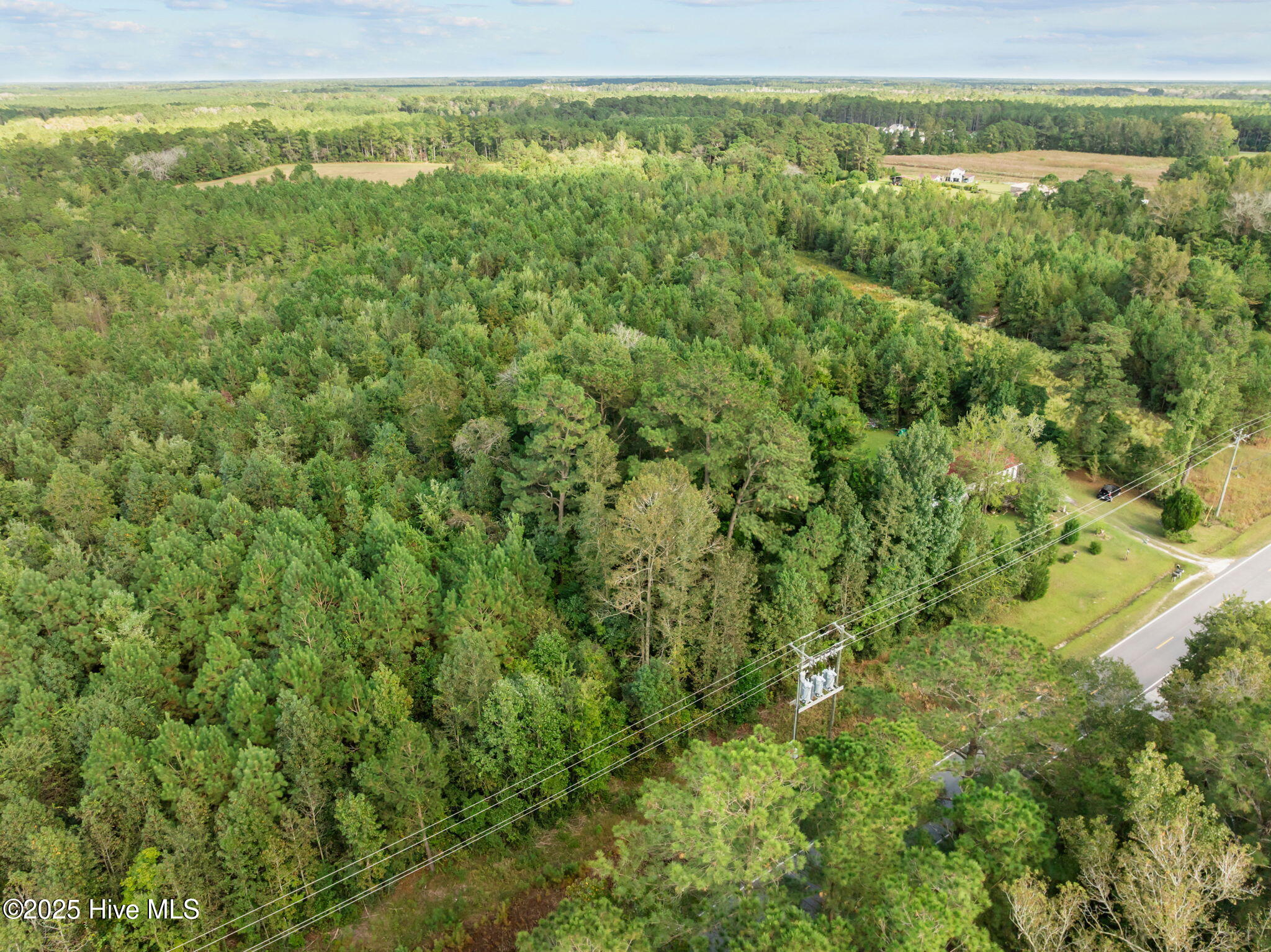 Tbd Gurganus Road Maple Hill, NC 28454 - Photo 15 of 16 15-web-or-mls-15