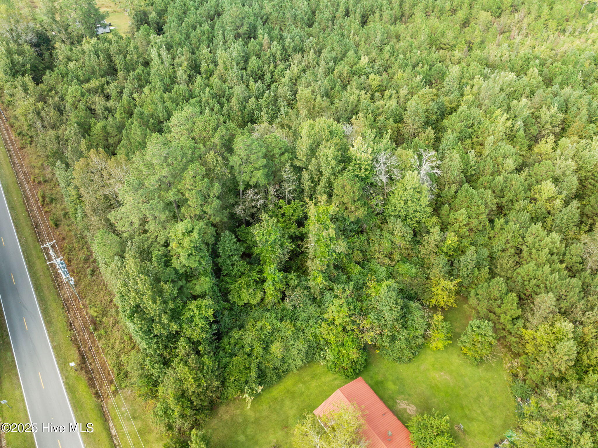 Tbd Gurganus Road Maple Hill, NC 28454 - Photo 5 of 16 5-web-or-mls-04