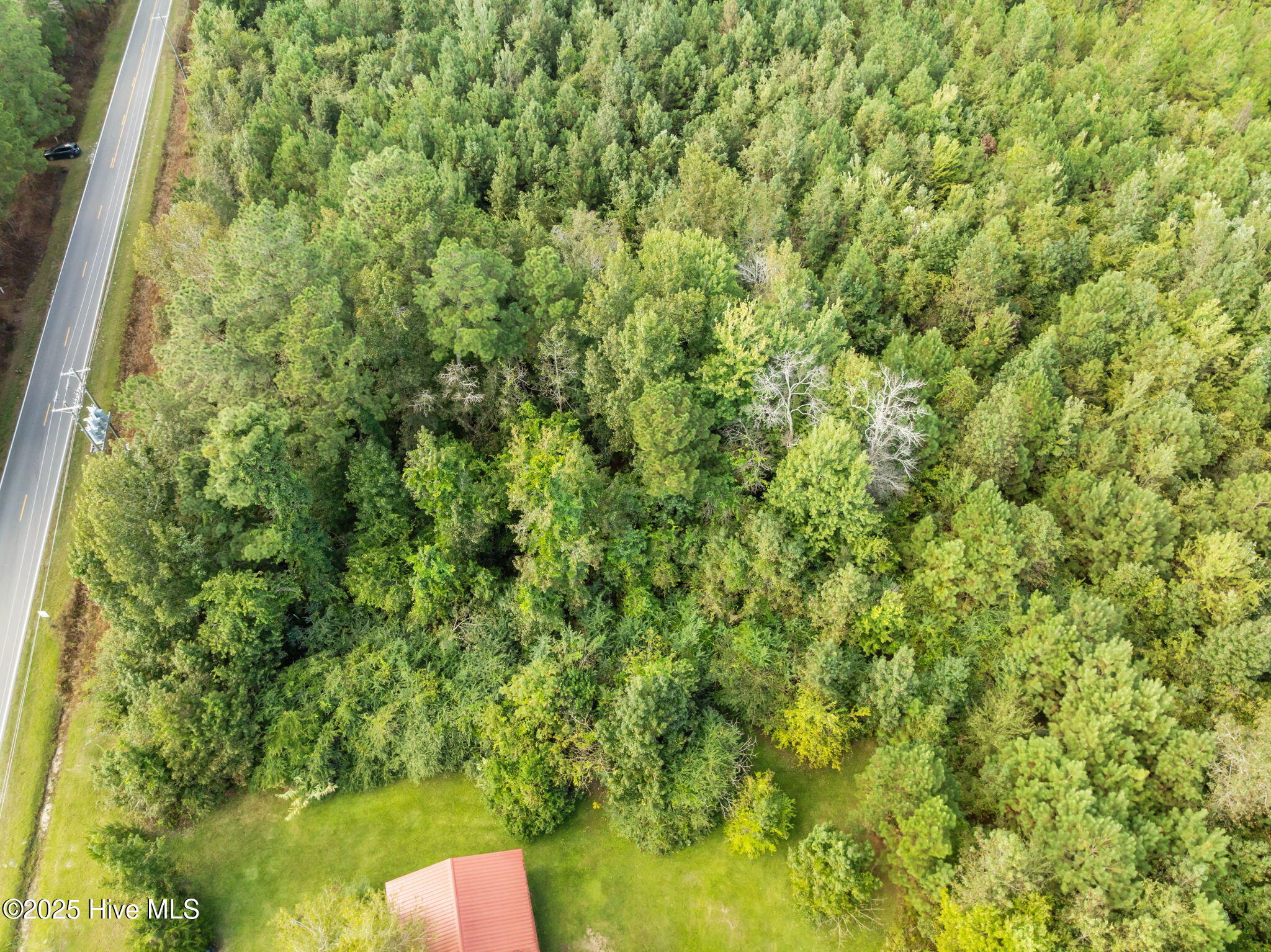 Tbd Gurganus Road Maple Hill, NC 28454 - Photo 6 of 16 6-web-or-mls-05