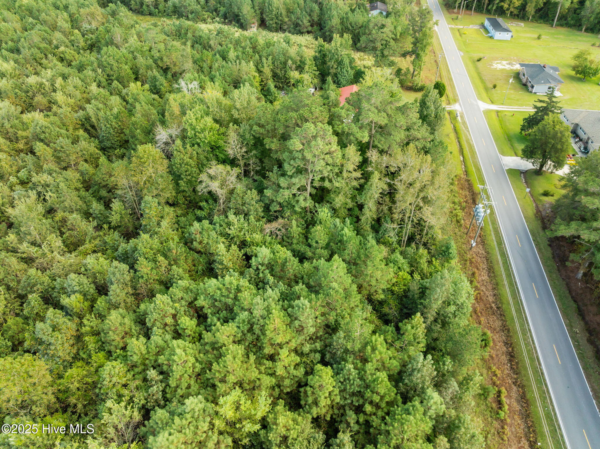 Tbd Gurganus Road Maple Hill, NC 28454 - Photo 9 of 16 9-web-or-mls-08