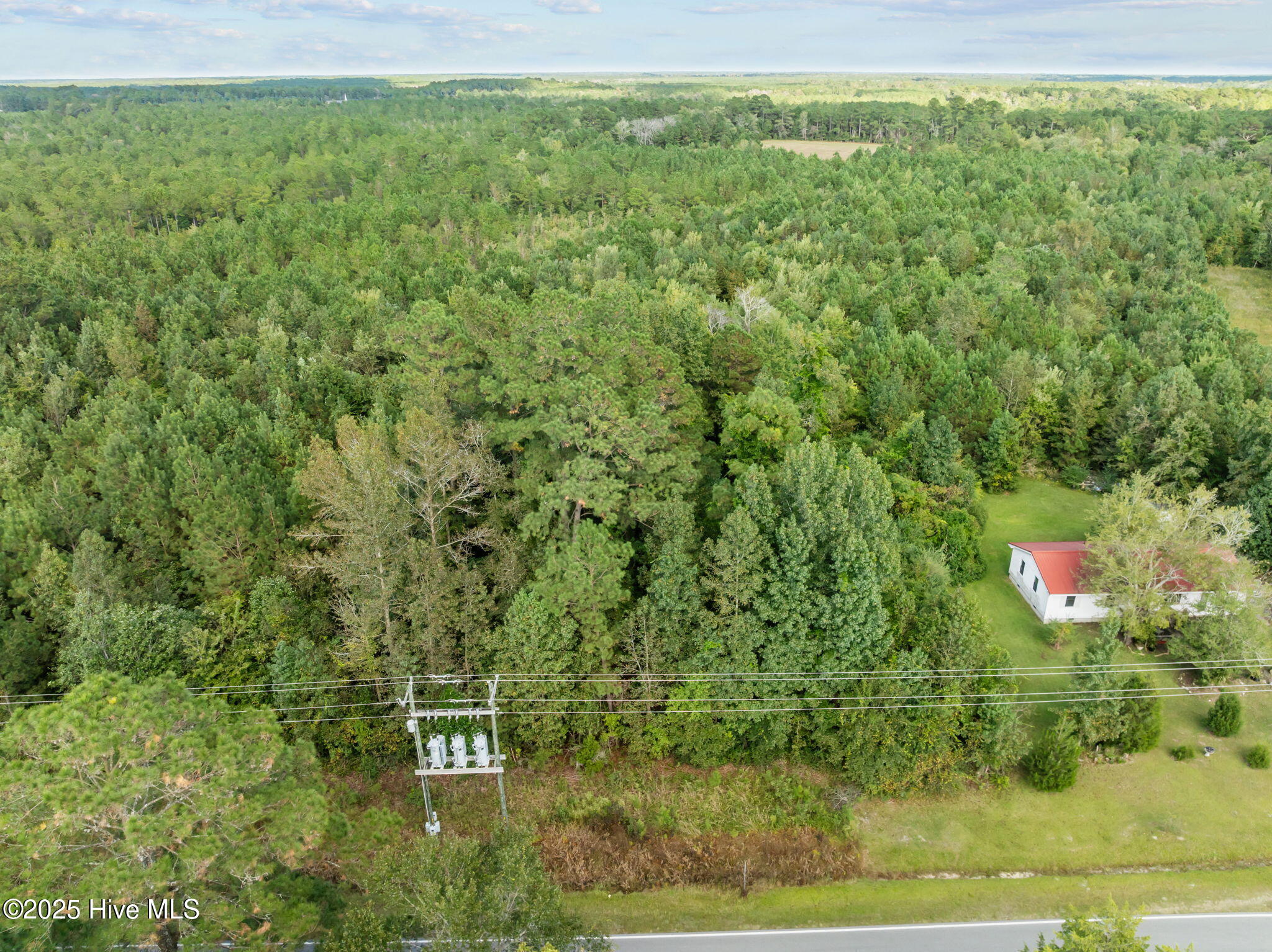 Tbd Gurganus Road Maple Hill, NC 28454 - Photo 10 of 16 10-web-or-mls-09