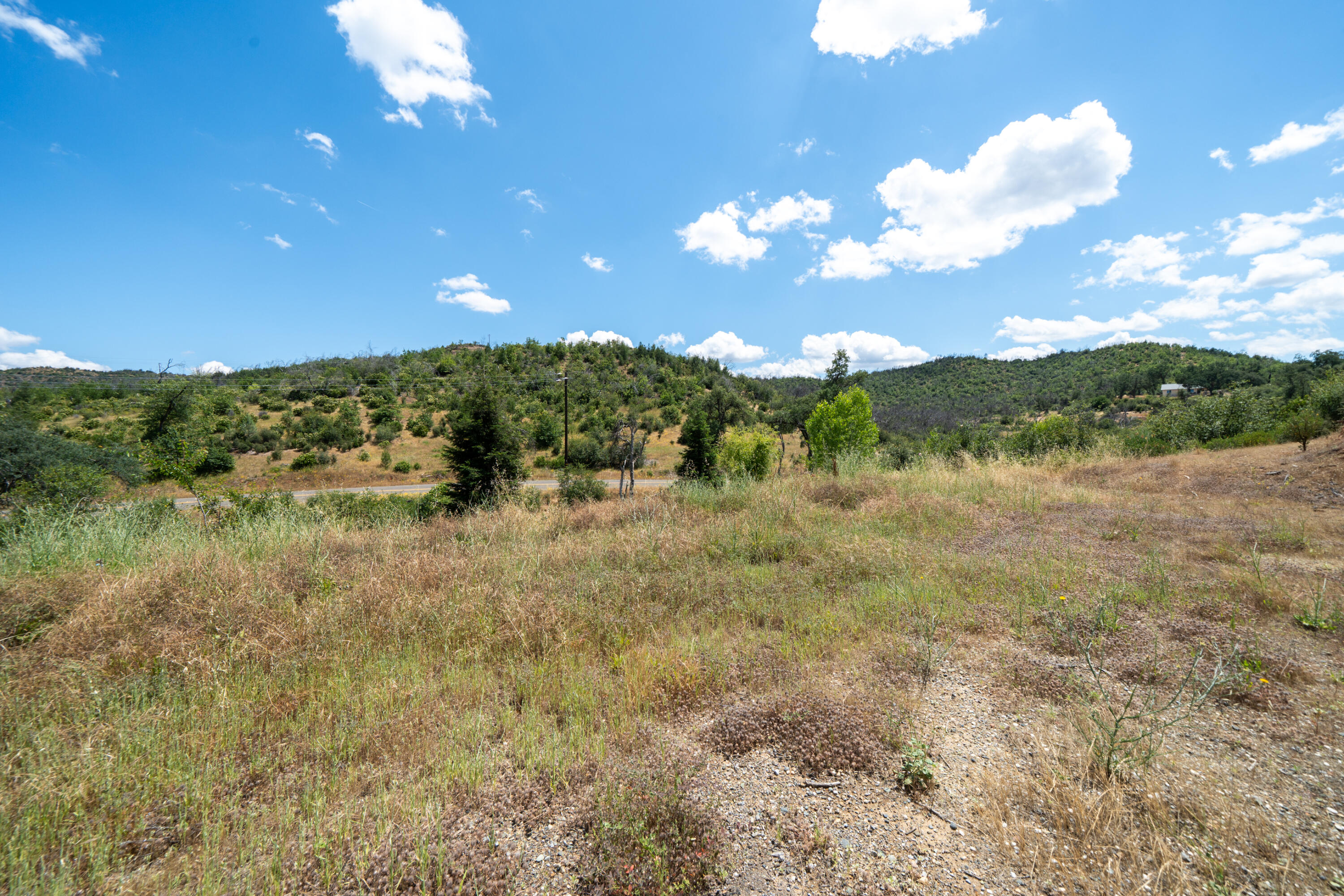 15882 Lower Springs Rd-10