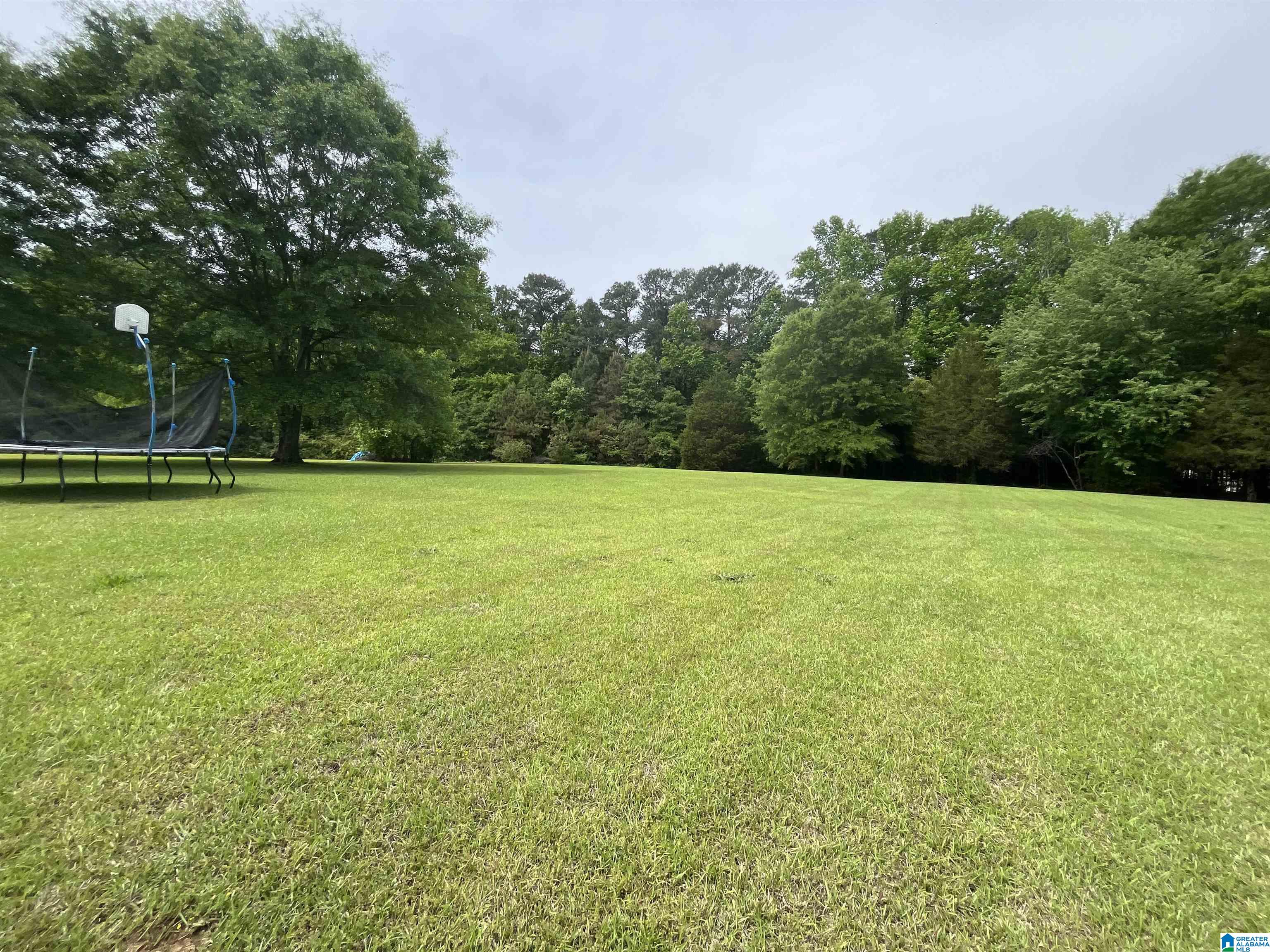 1066 Teem Road Cullman, AL 35057 - Photo 33 of 35