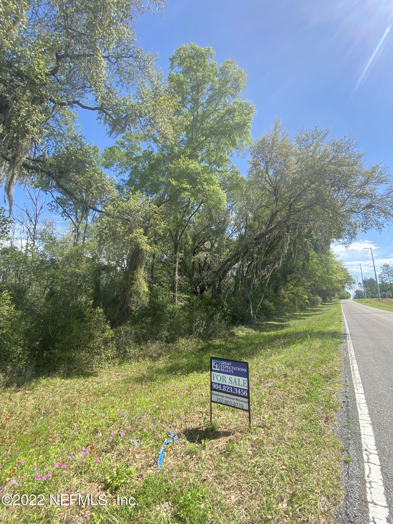 0 County Road Live Oak, FL 32060 - Photo 7 of 9 1