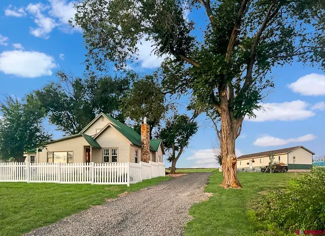 a front view of a house with yard and green space