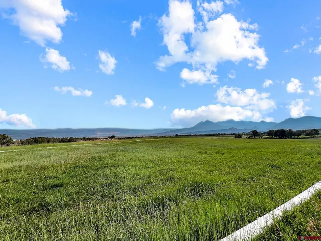 a view of a big yard with lots of green space and mountain view in back