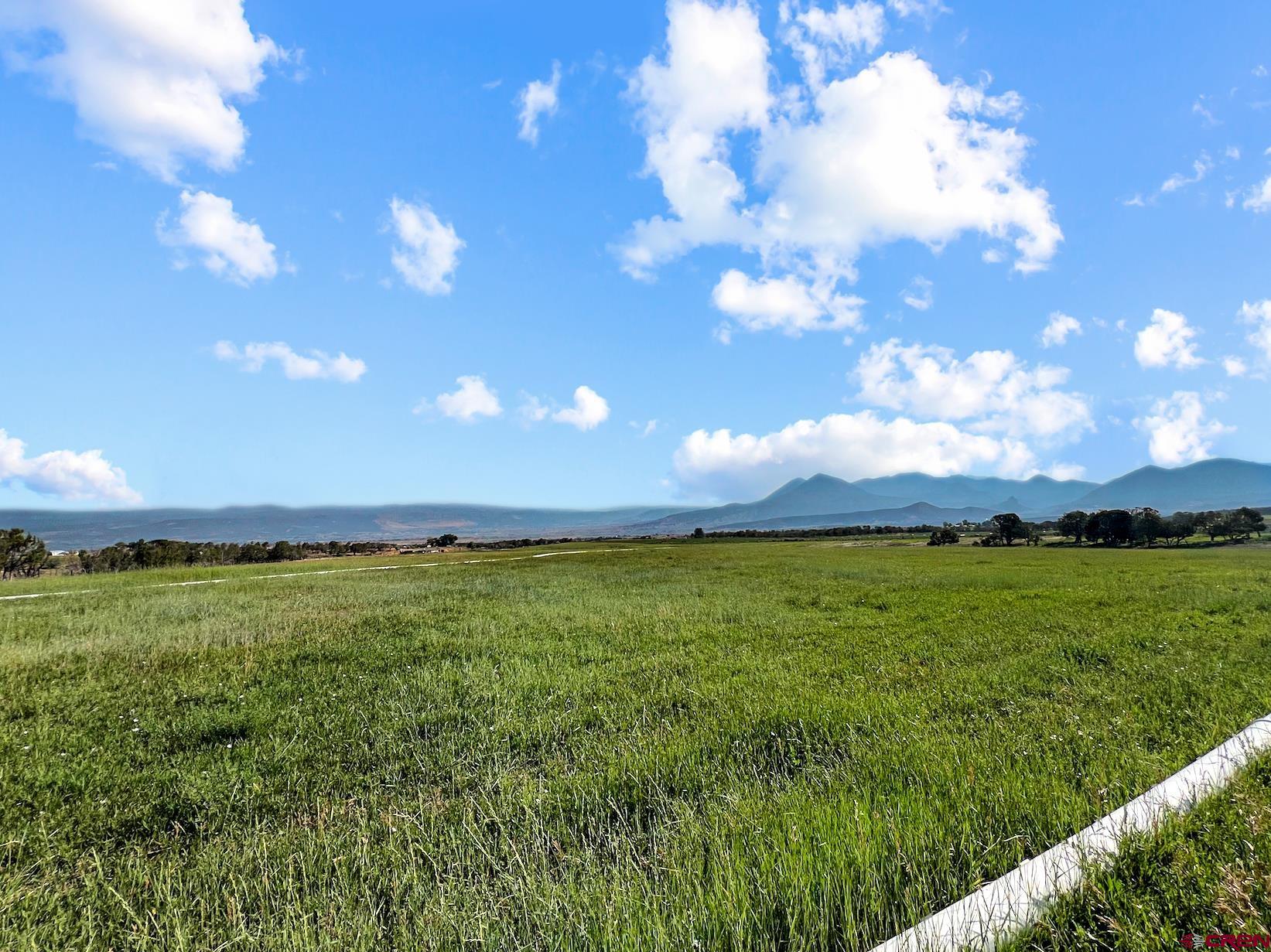 36024 Fruitland Mesa Road Crawford, CO 81415 - Photo 5 of 37 a view of a big yard with lots of green space and mountain view in back